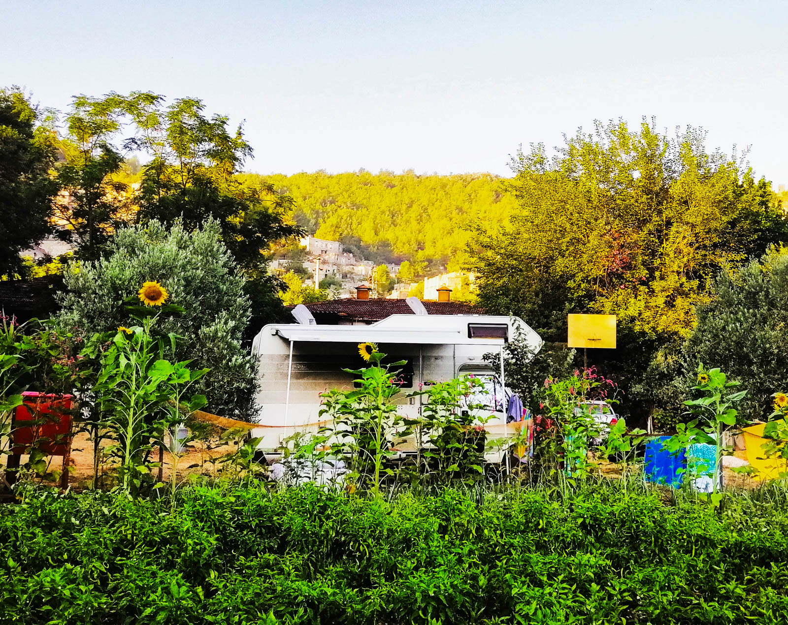 Kayaköy Jungle Camping