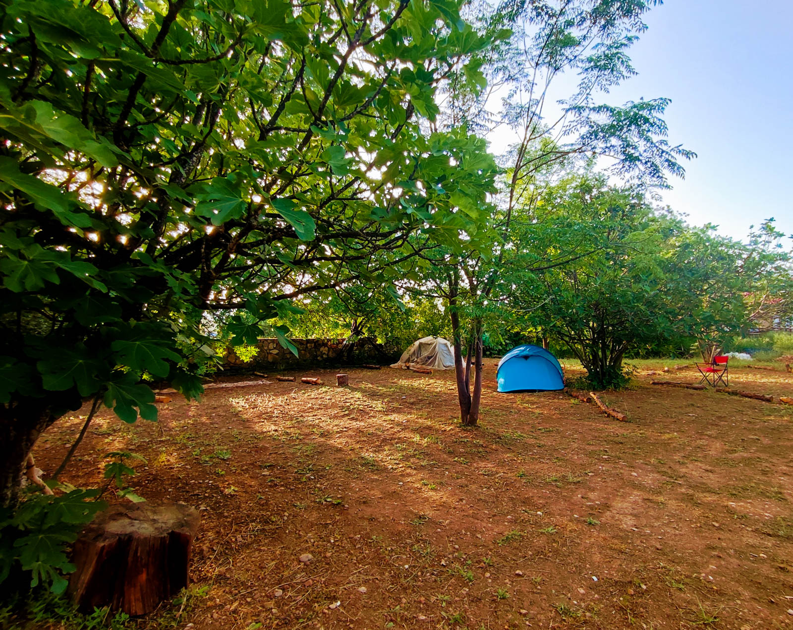 Kayaköy Jungle Camping