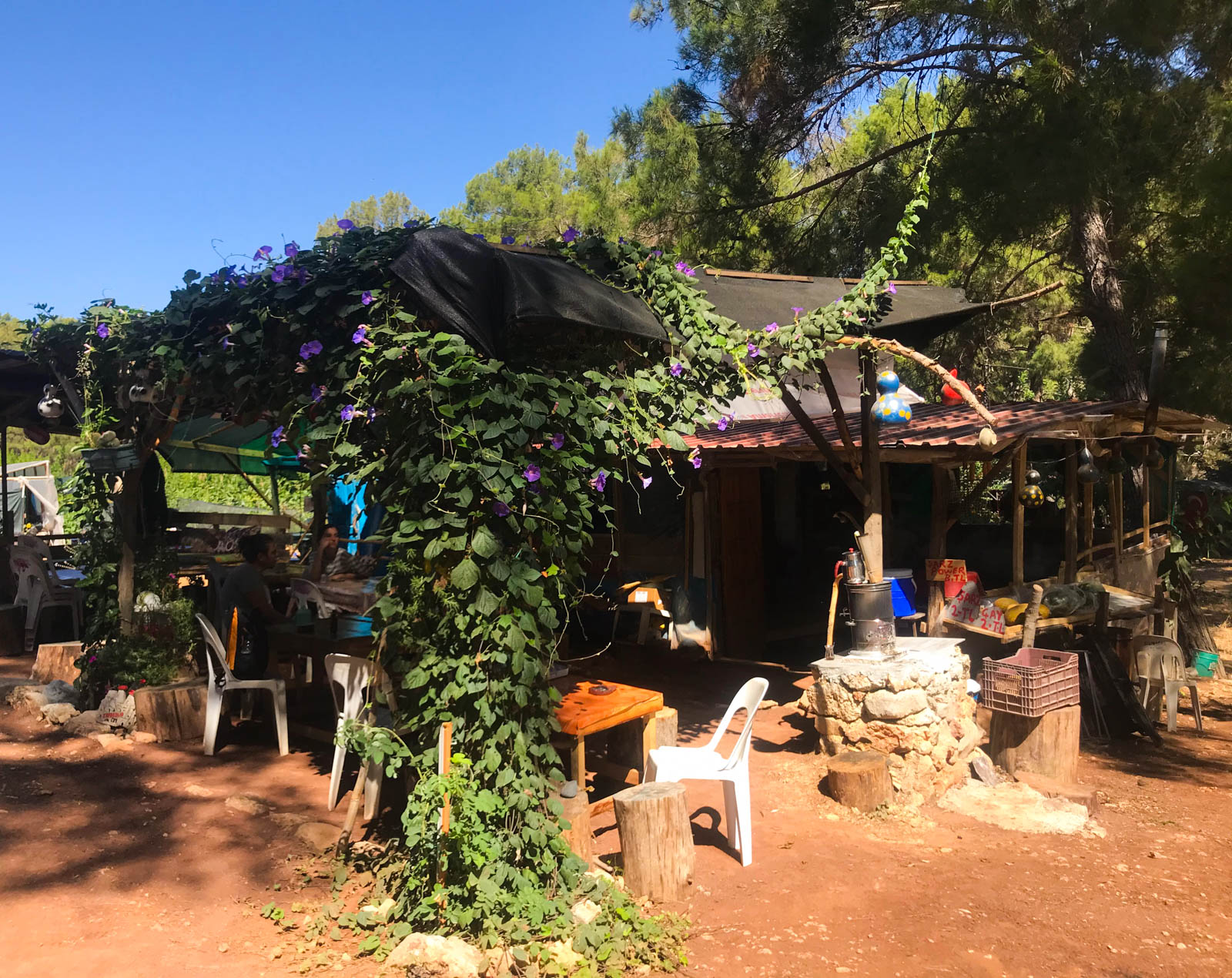 Son Çare Camping