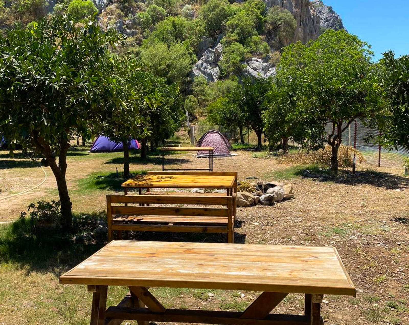 Lotus Camping