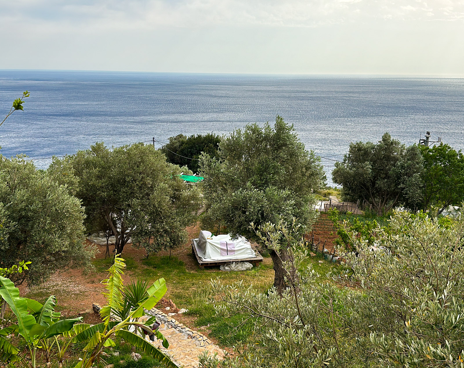 Bağ Camp Kabak
