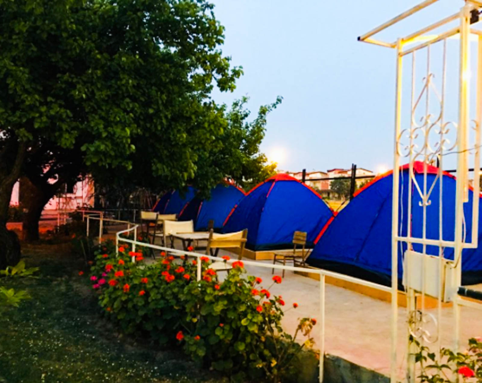 Mürsel Kamping