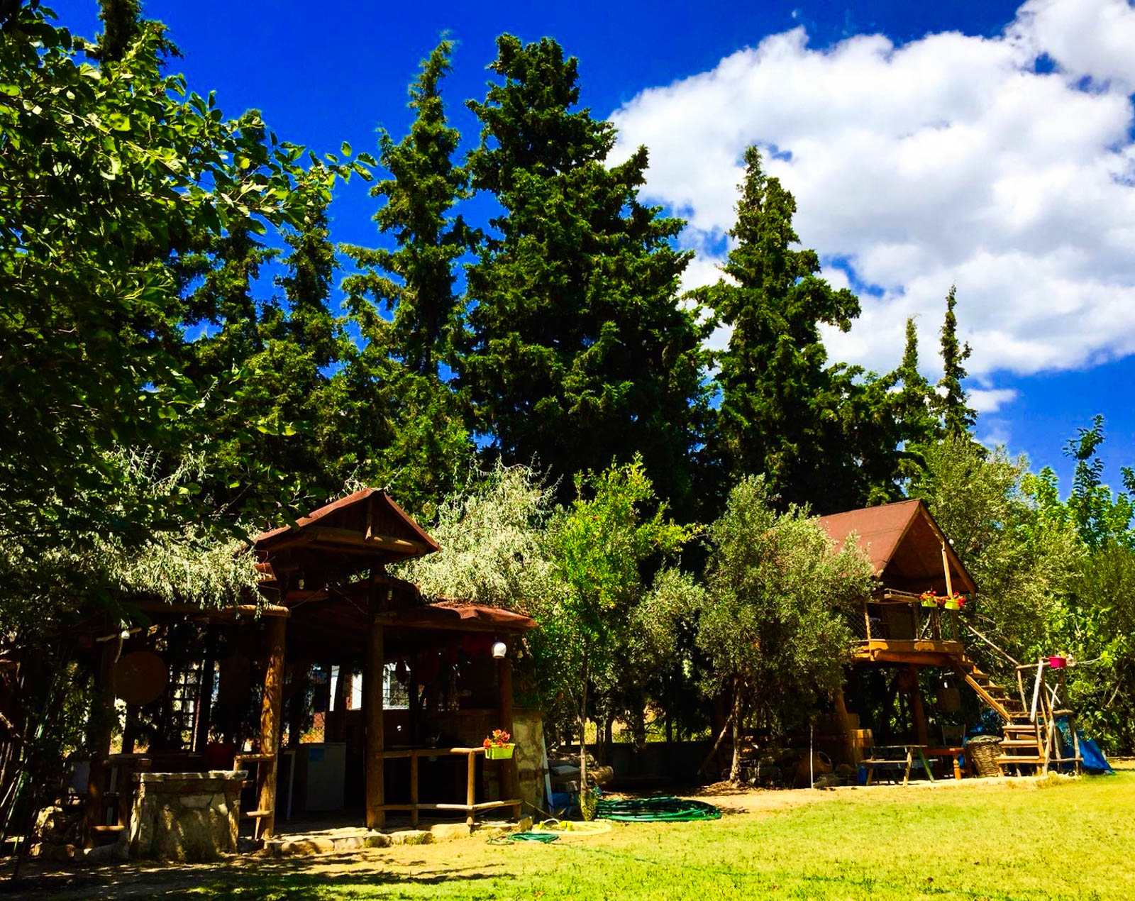 Mürsel Kamping
