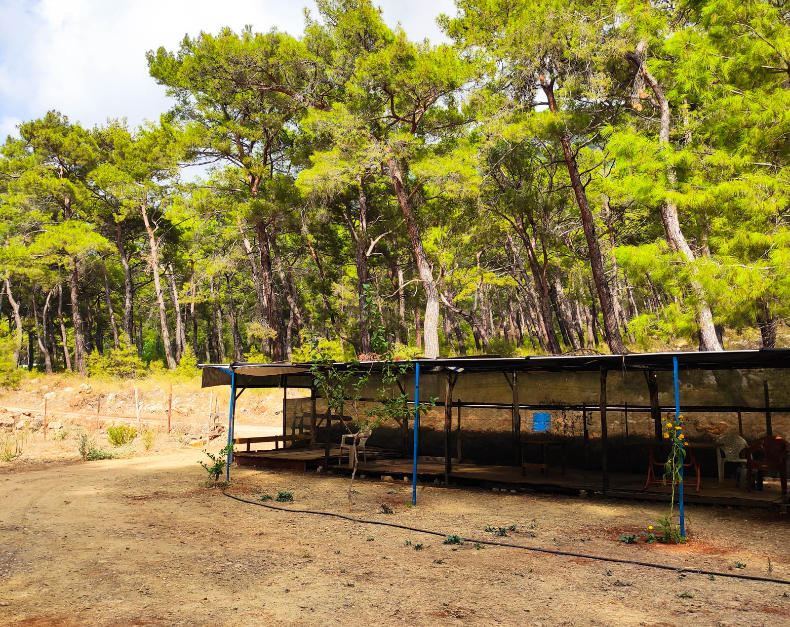 Bobi Kamping