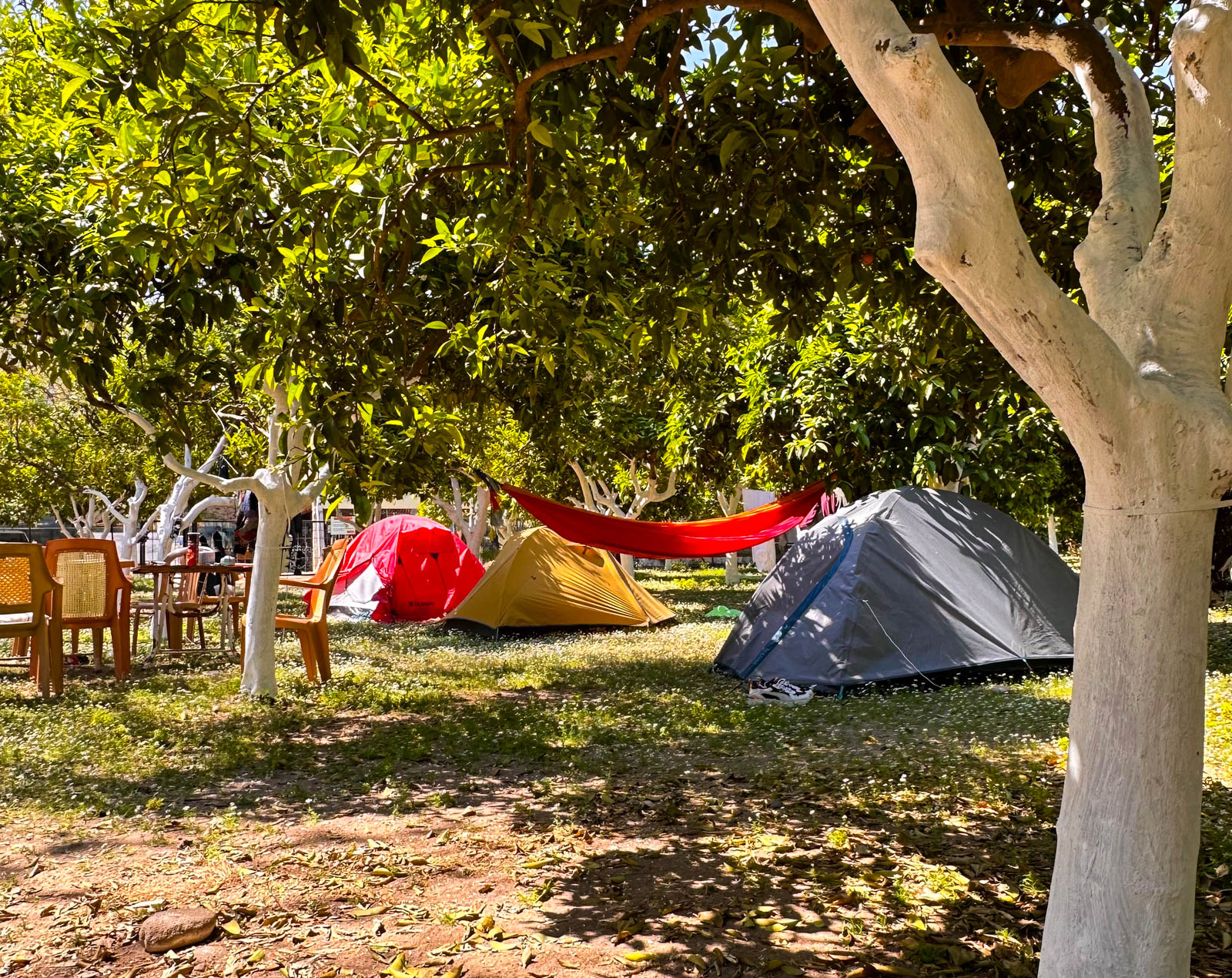 Çıralı Sahil Bungalow & Camping