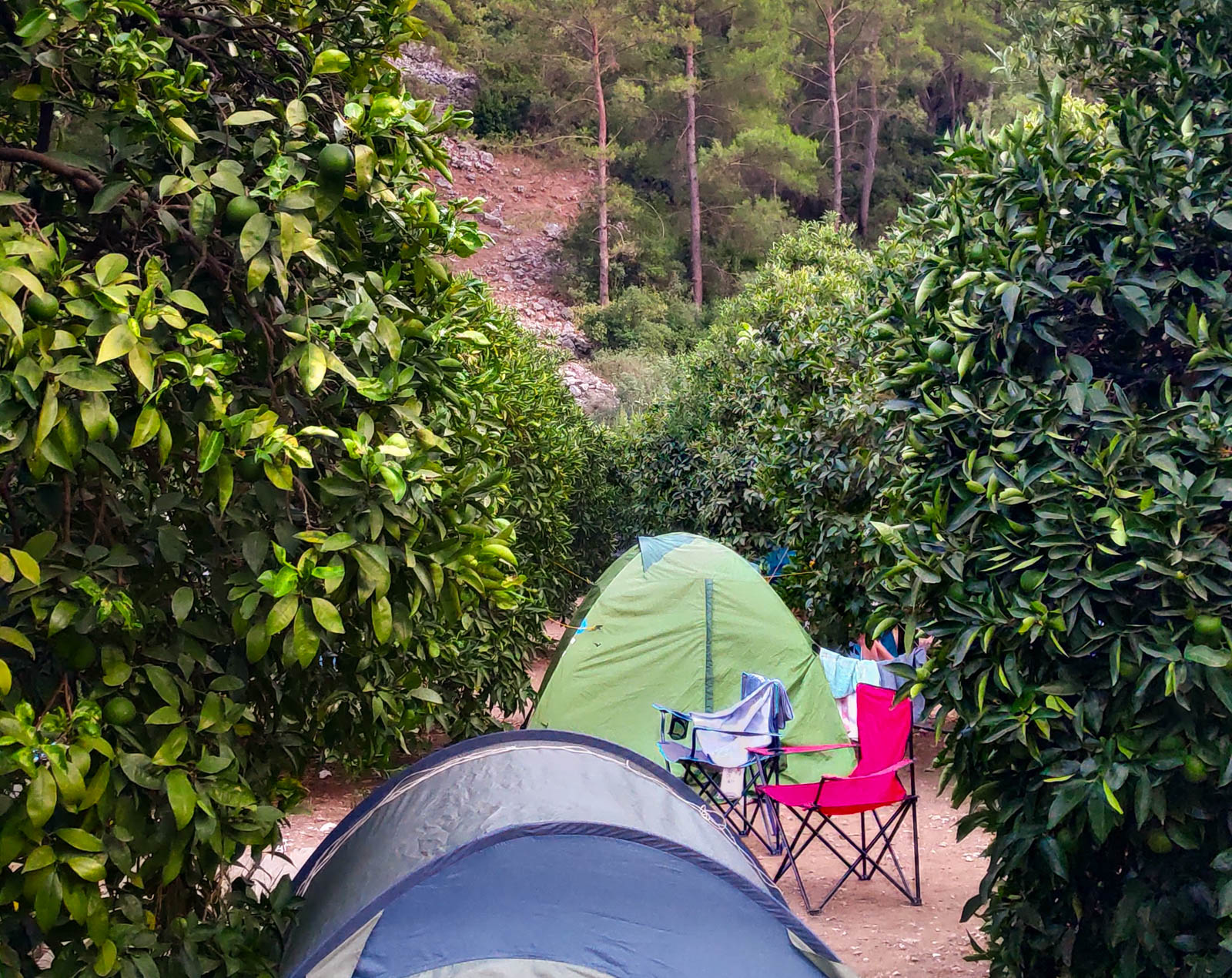 Keçi Camping