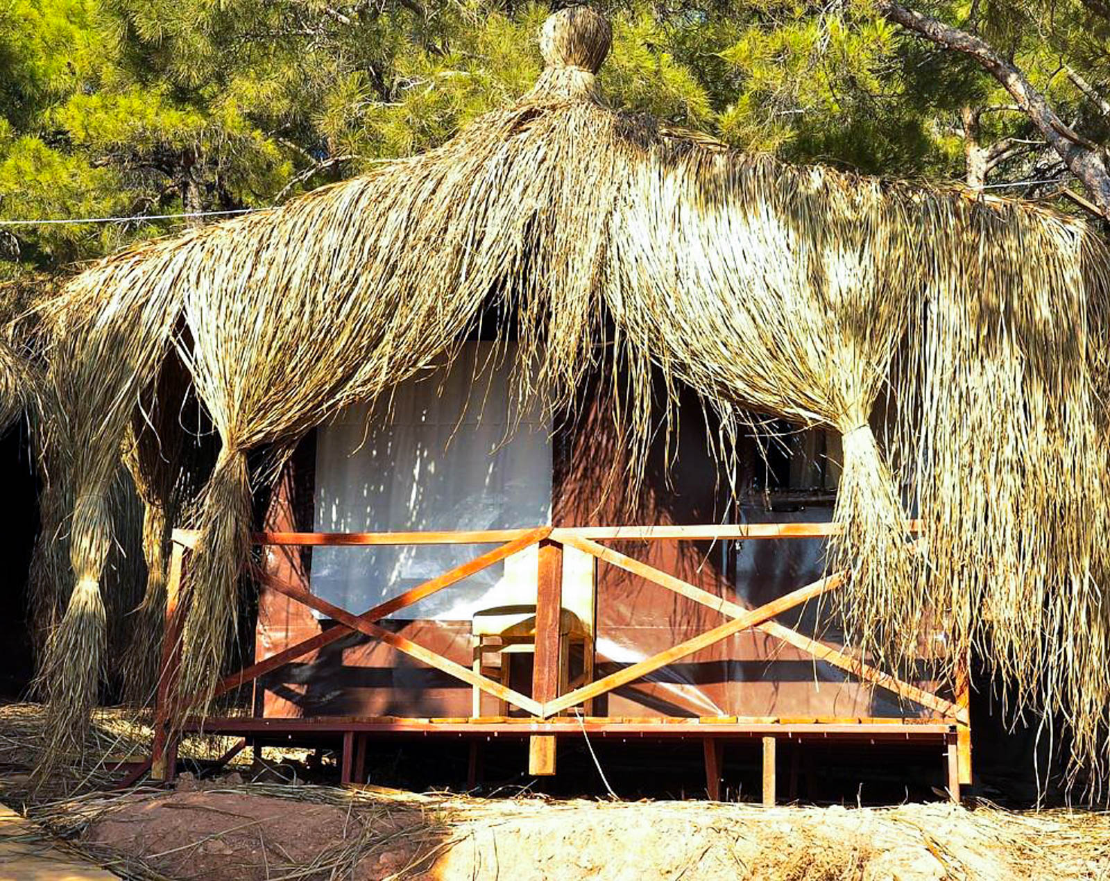 Ayvalık Çamlık Kamping
