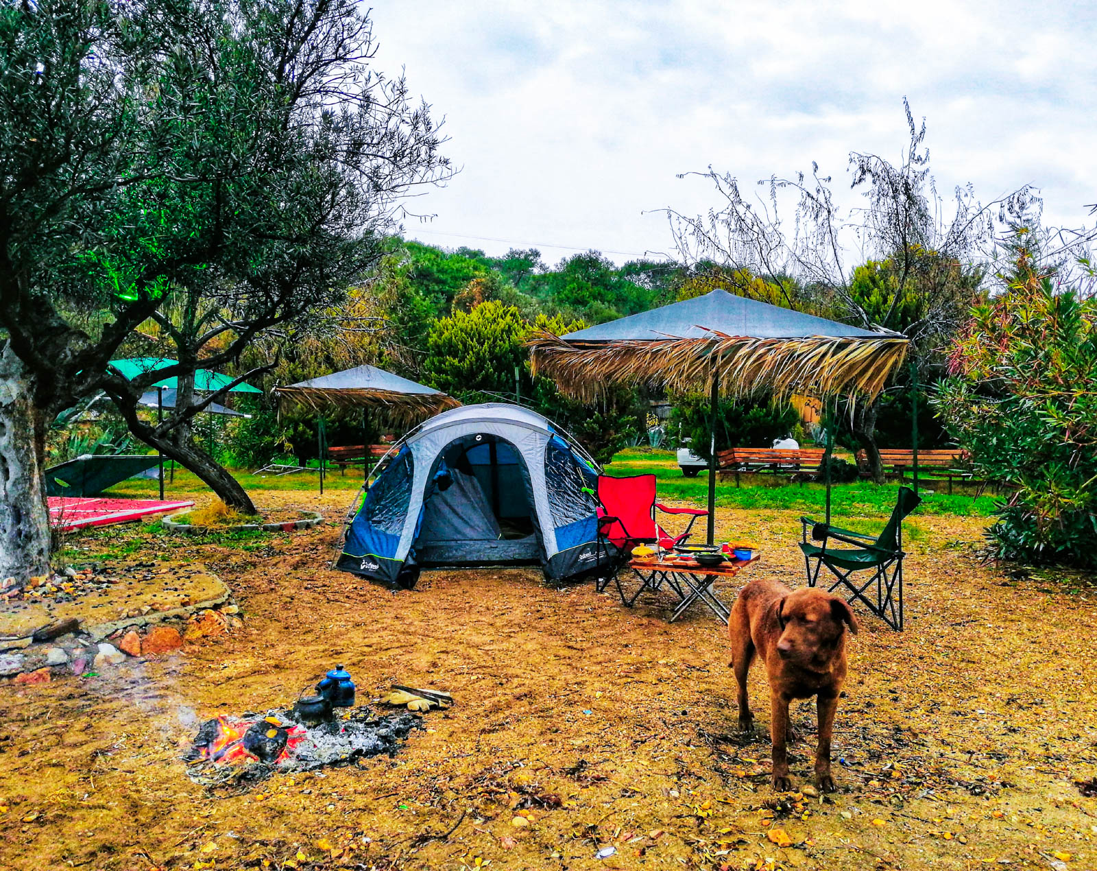 Ada Camping | Otel