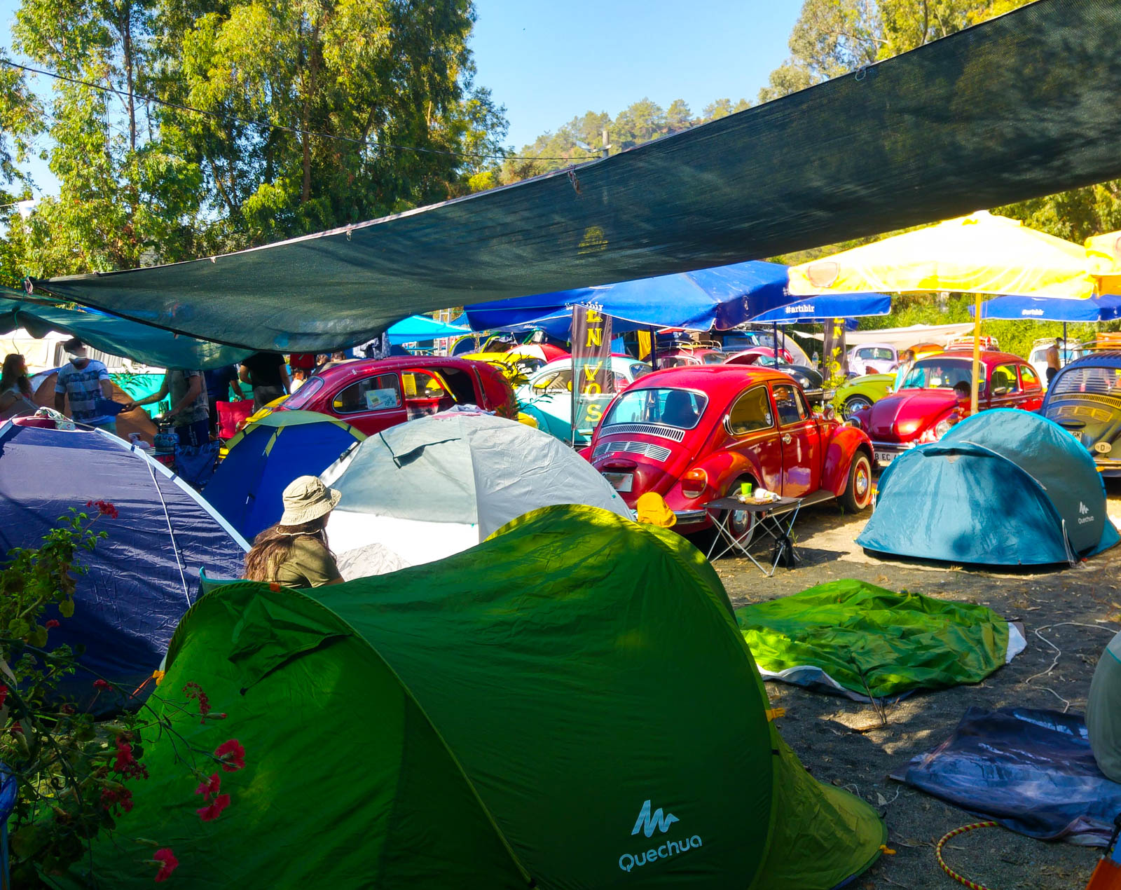 Çaylı Camping