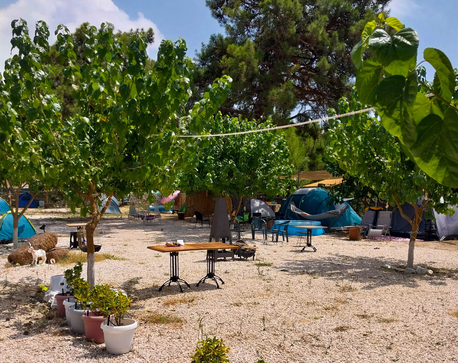Linda Camping