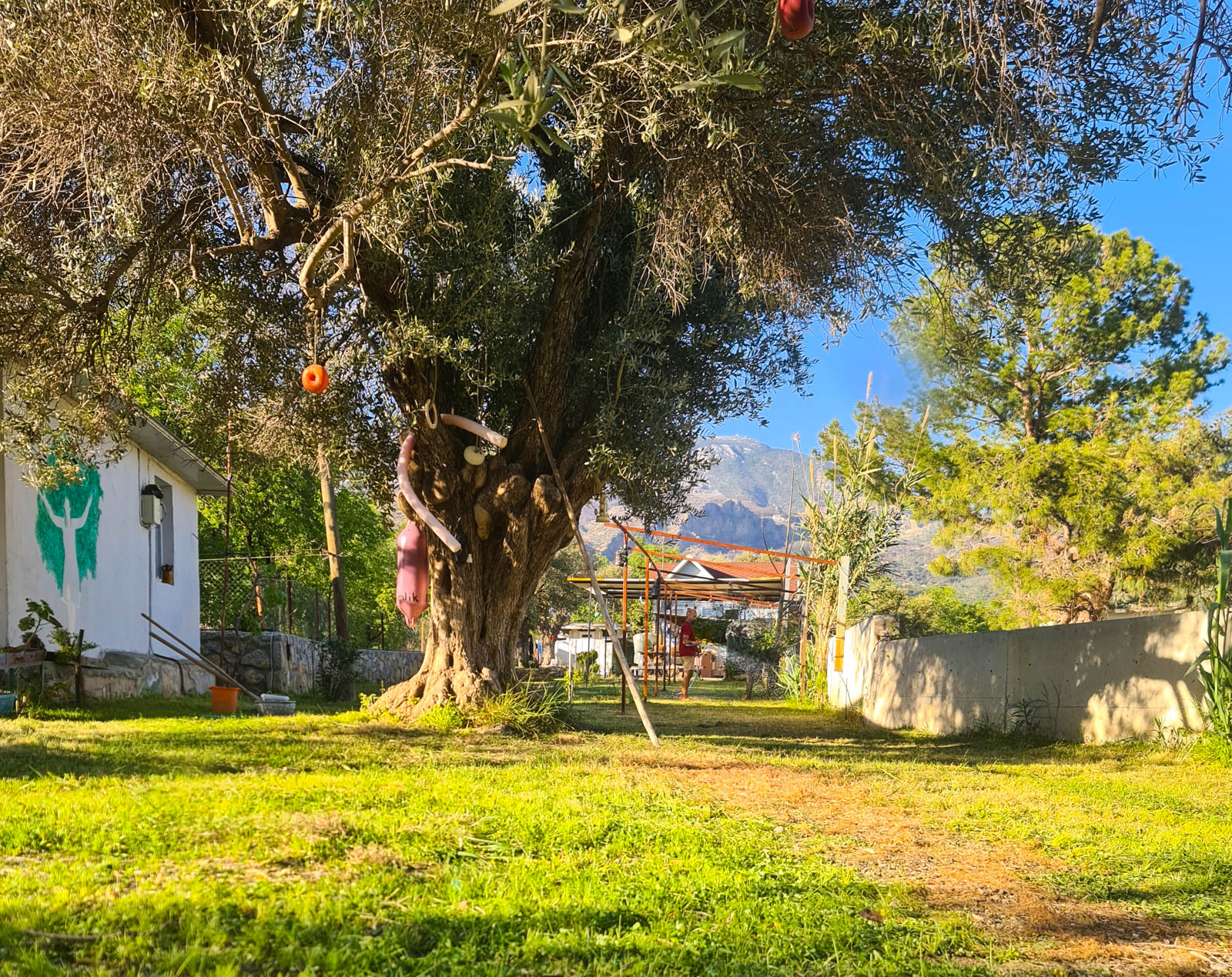 Demlik Camping ve Apart