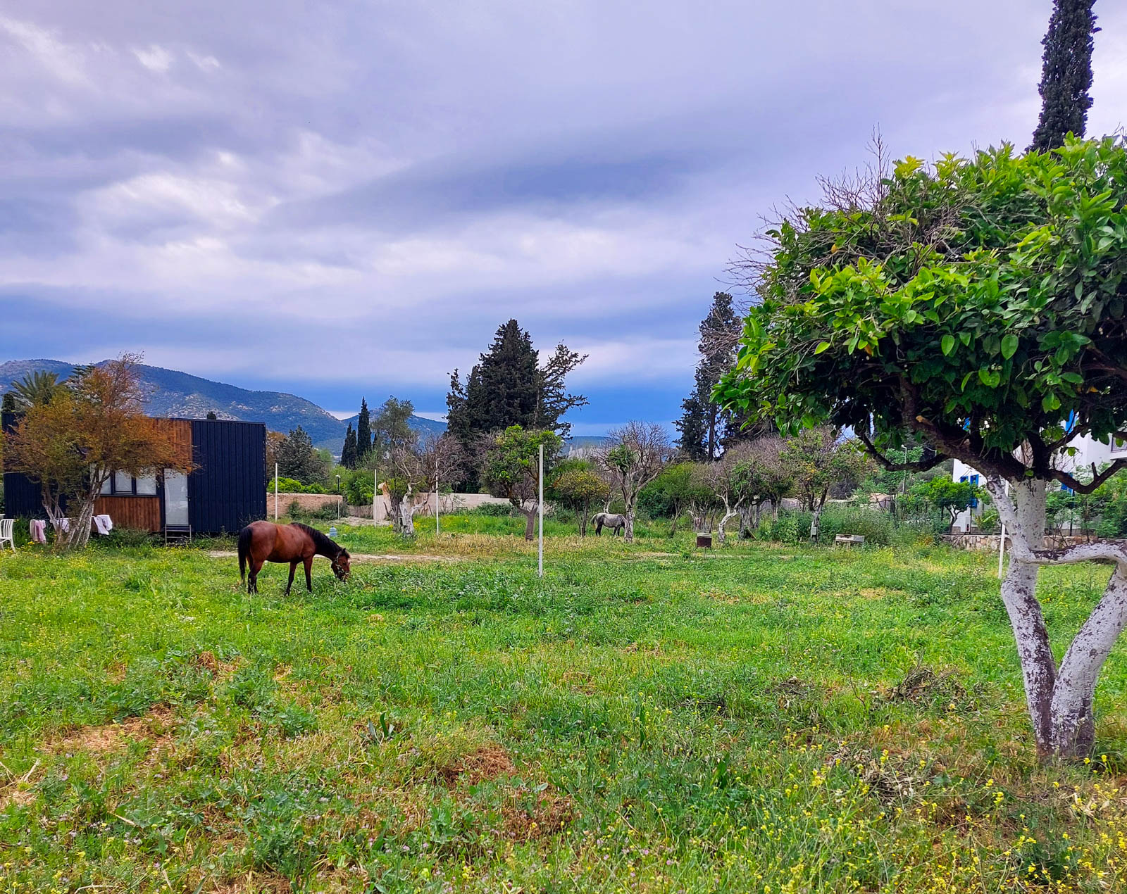 3H Group Karavan Park