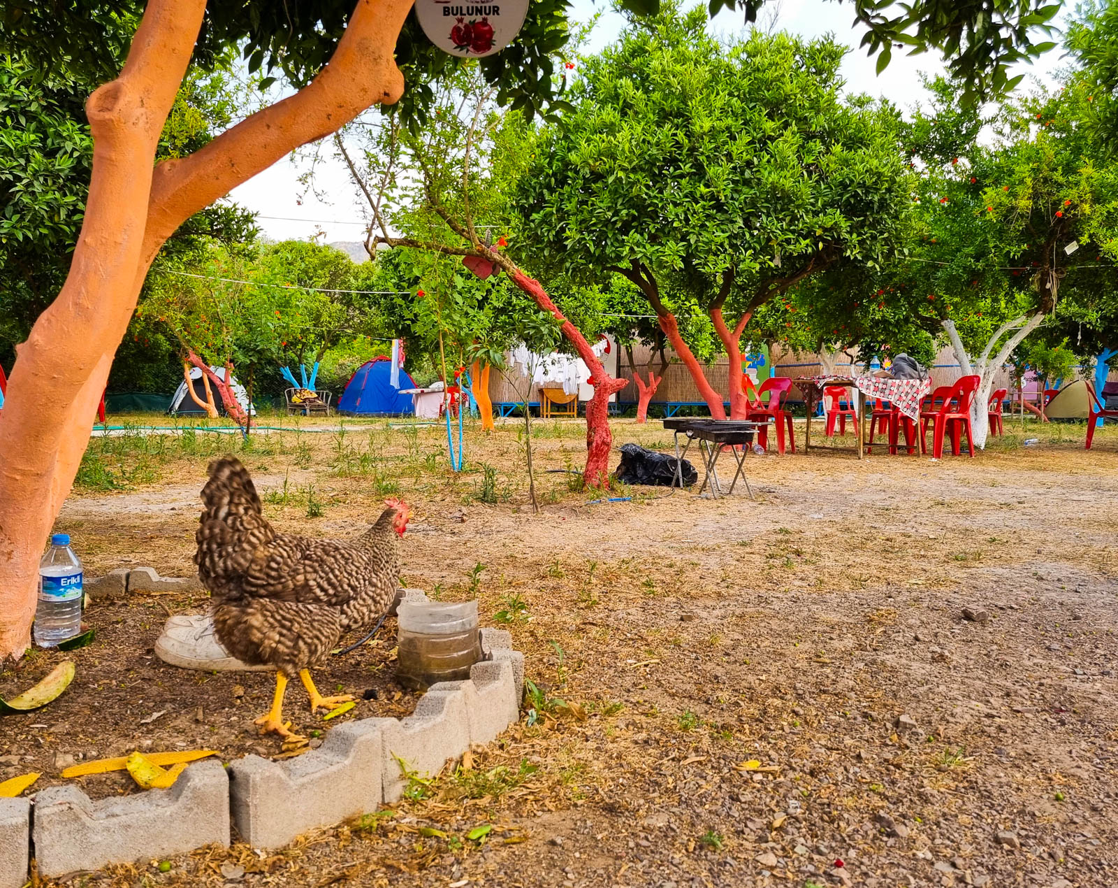 Şirinler Camping Adrasan