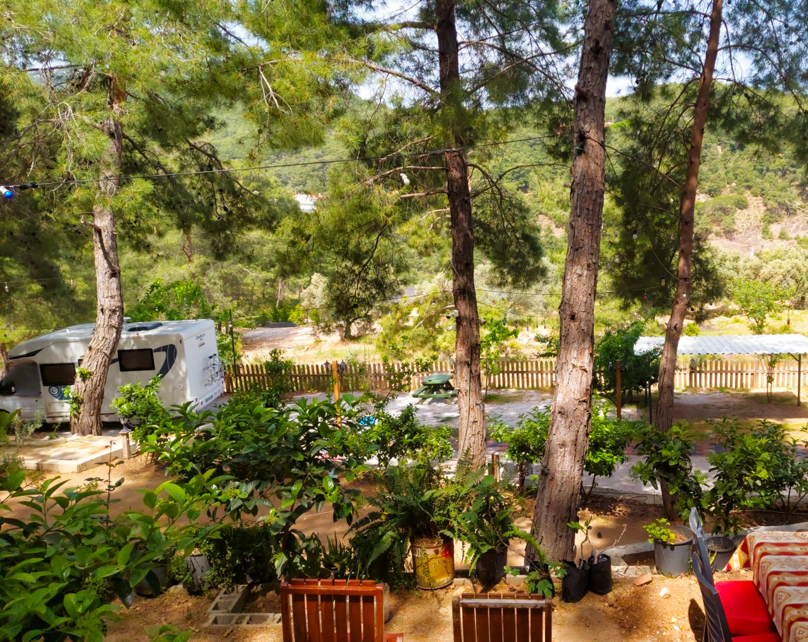 Aydede Camping Restaurant