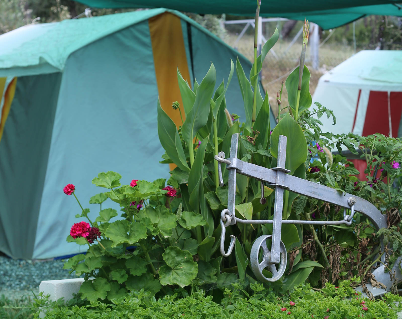 Koza Camping