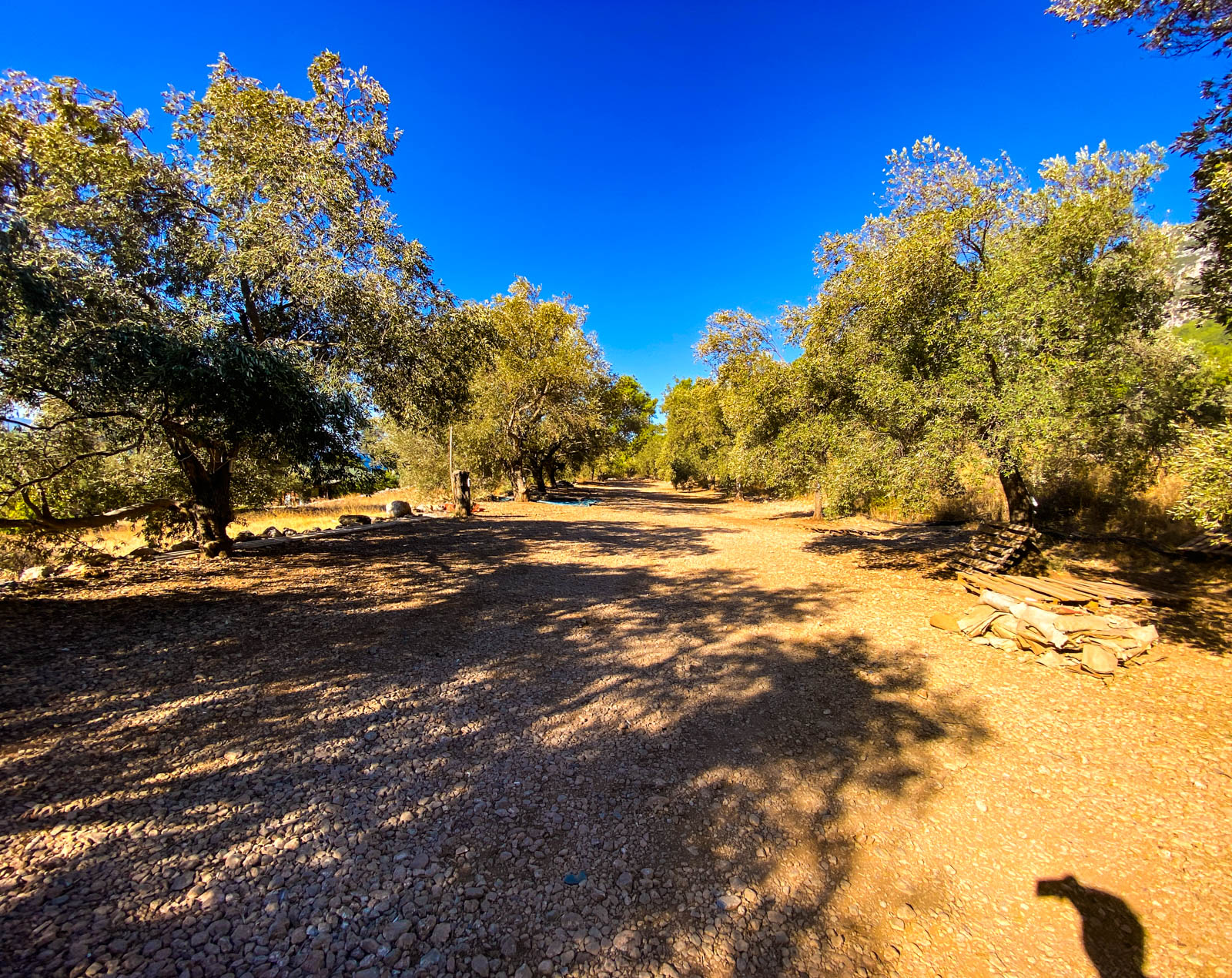 Cengizi Yeri Camping