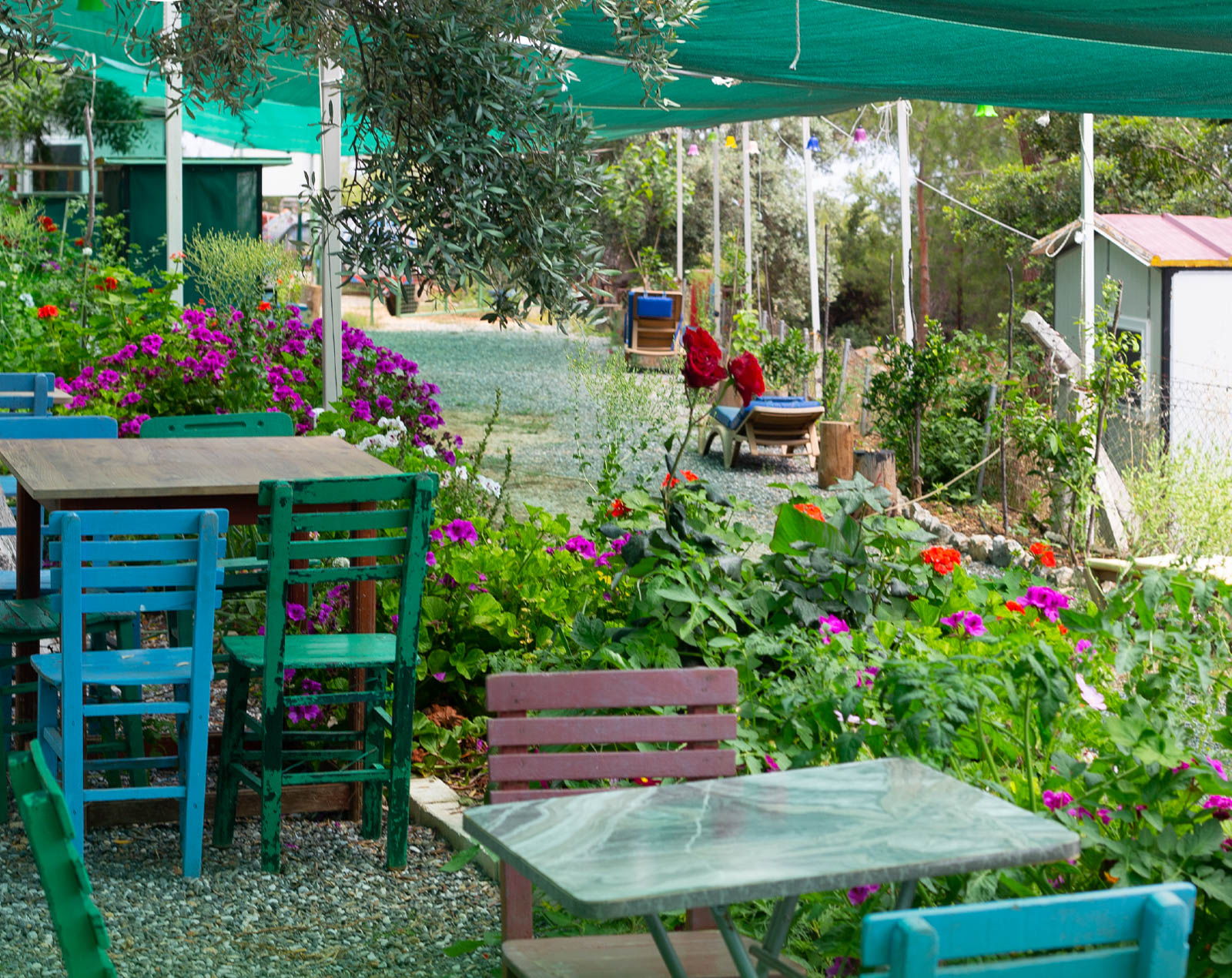 Koza Camping