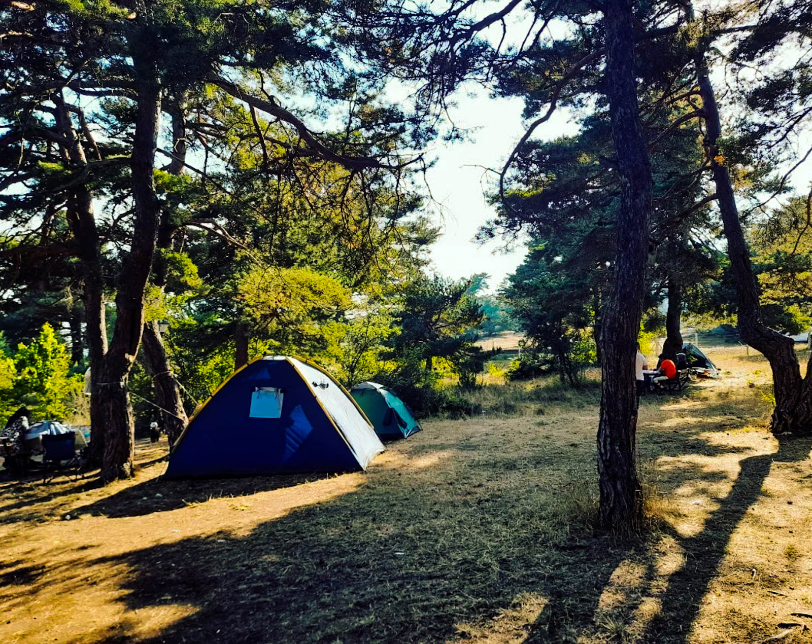 Niksar Kamping