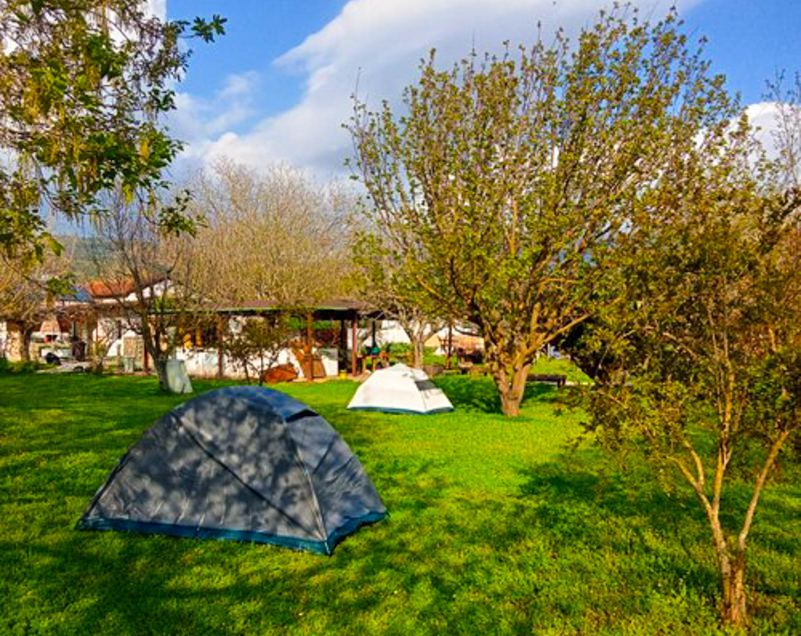 Ya Basta Camping