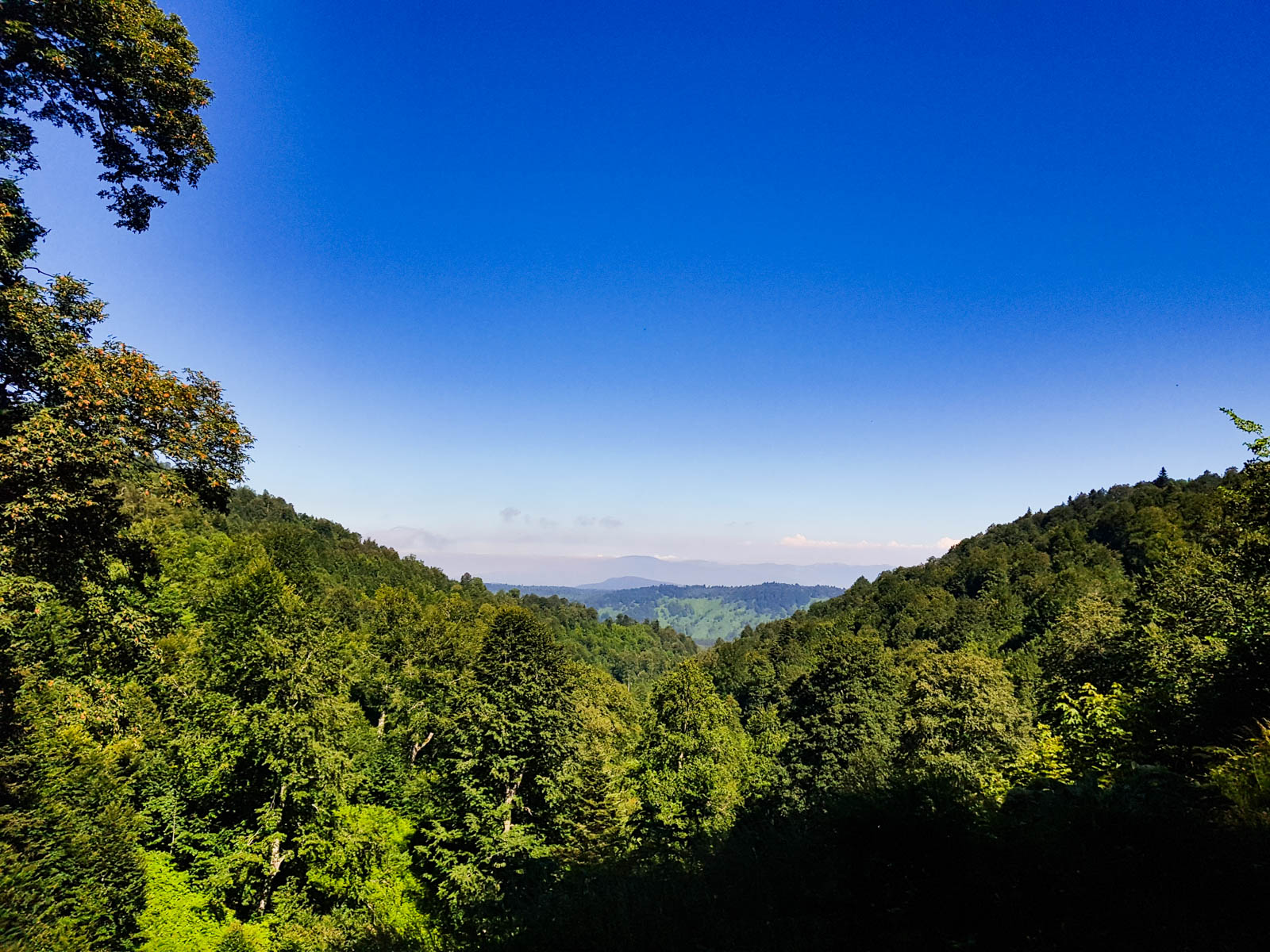 Kuzuyayla Tabiat Parkı