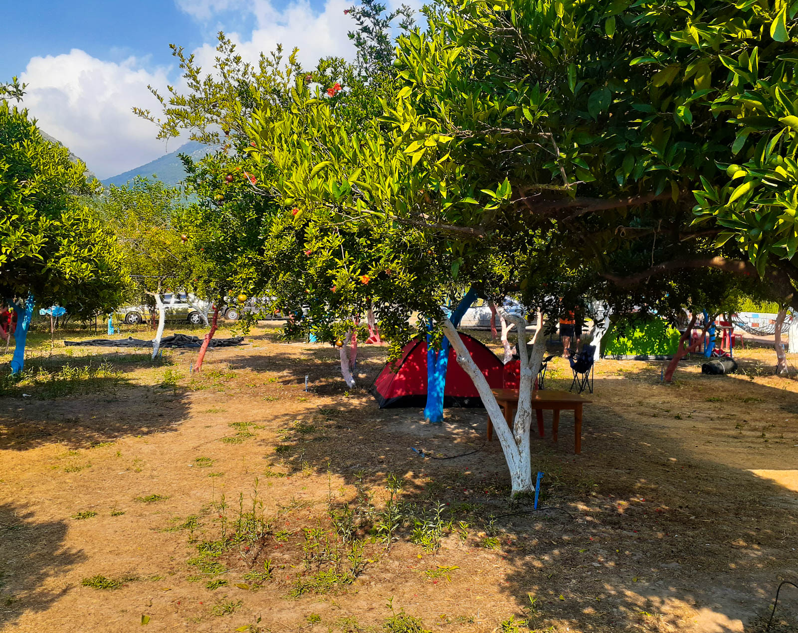 Şirinler Camping Adrasan