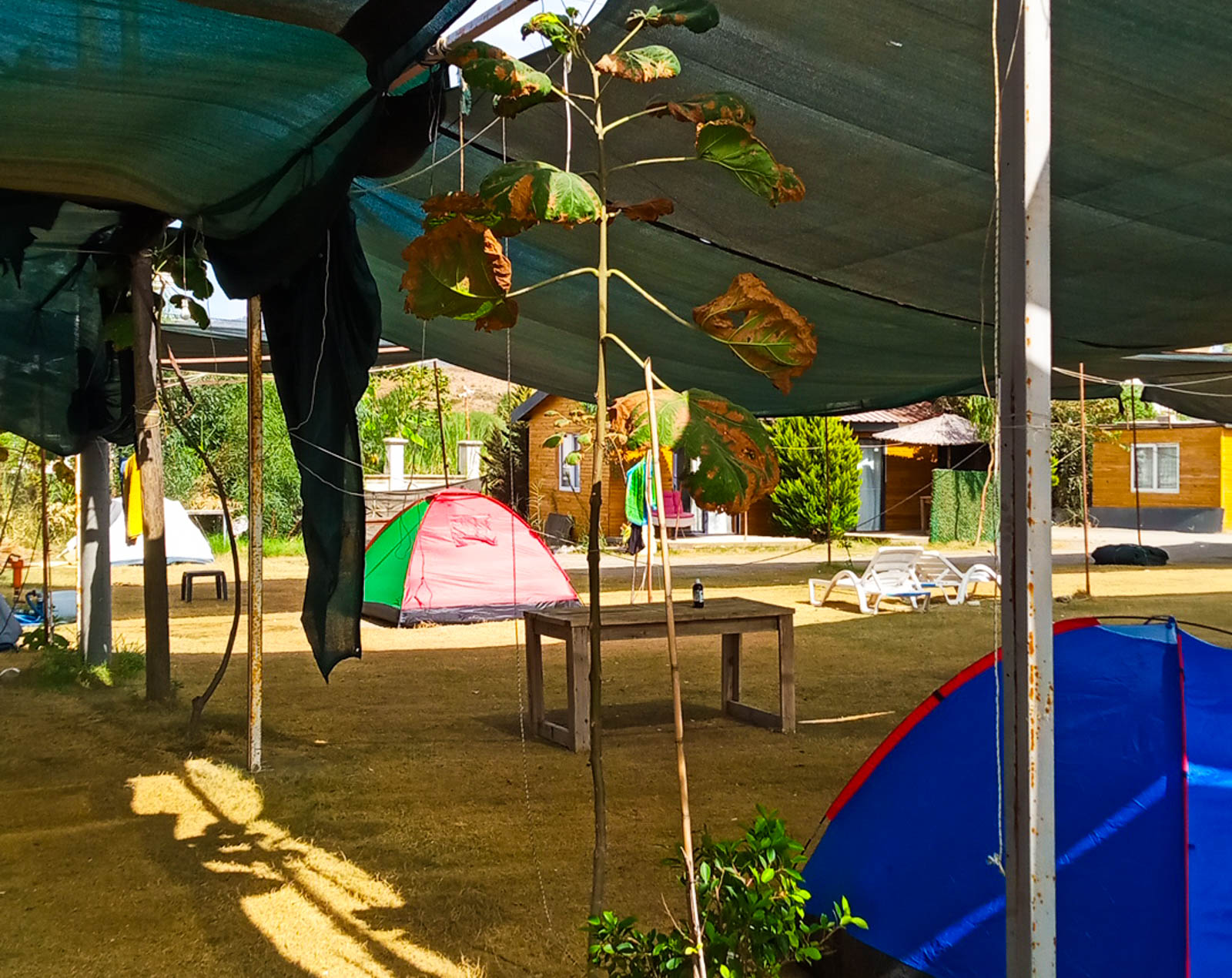 Lotus Beach Clup Camping