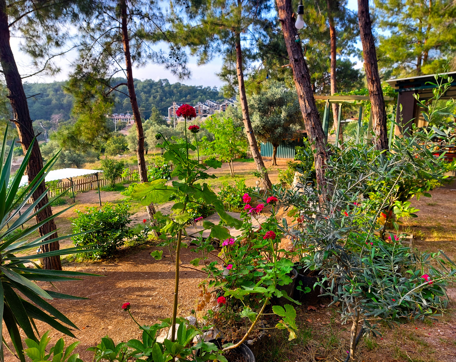 Aydede Camping Restaurant