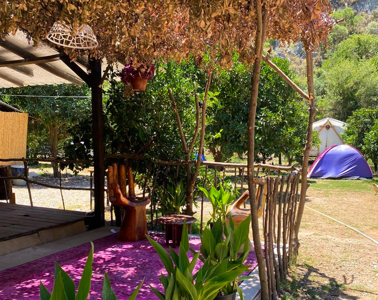 Lotus Camping