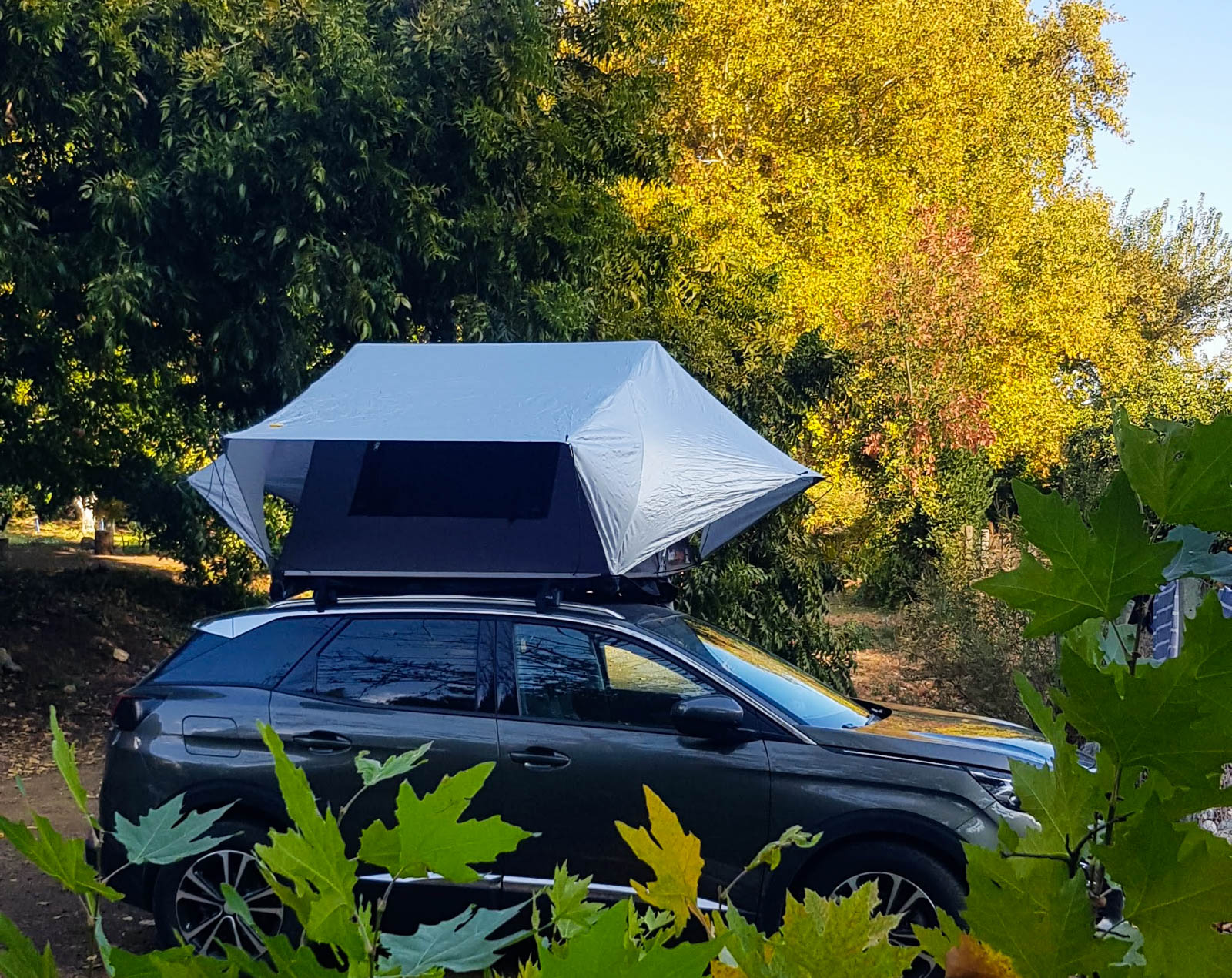 Tavuskuşu Camping