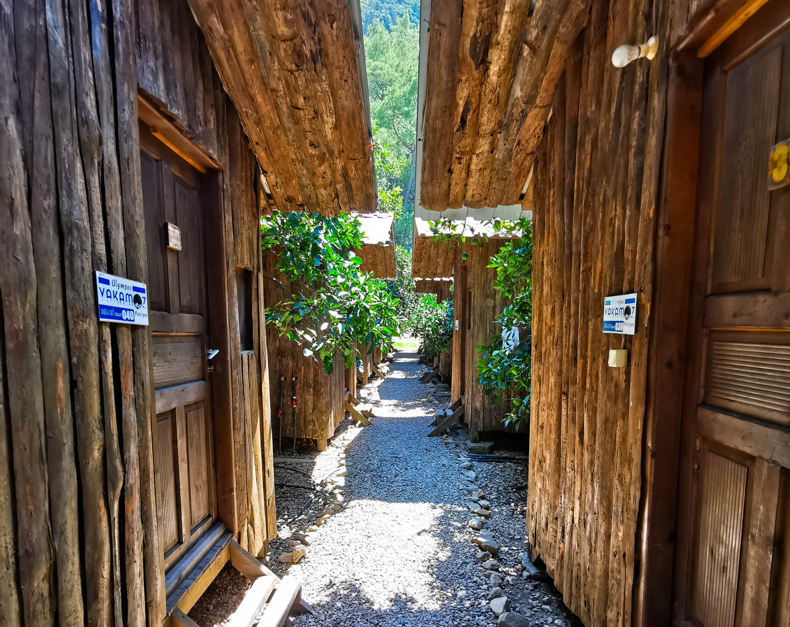 Olimpos Yakamoz Pansiyon