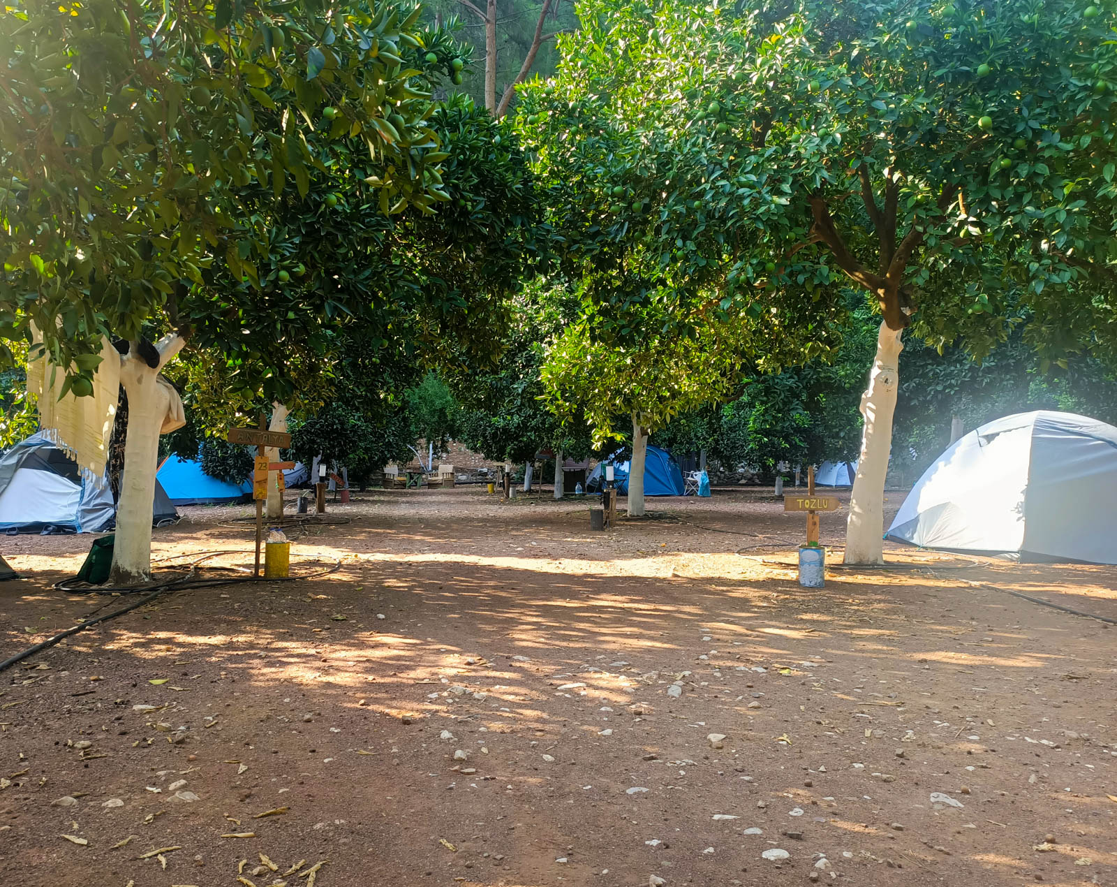 Asilay Camping Olympos