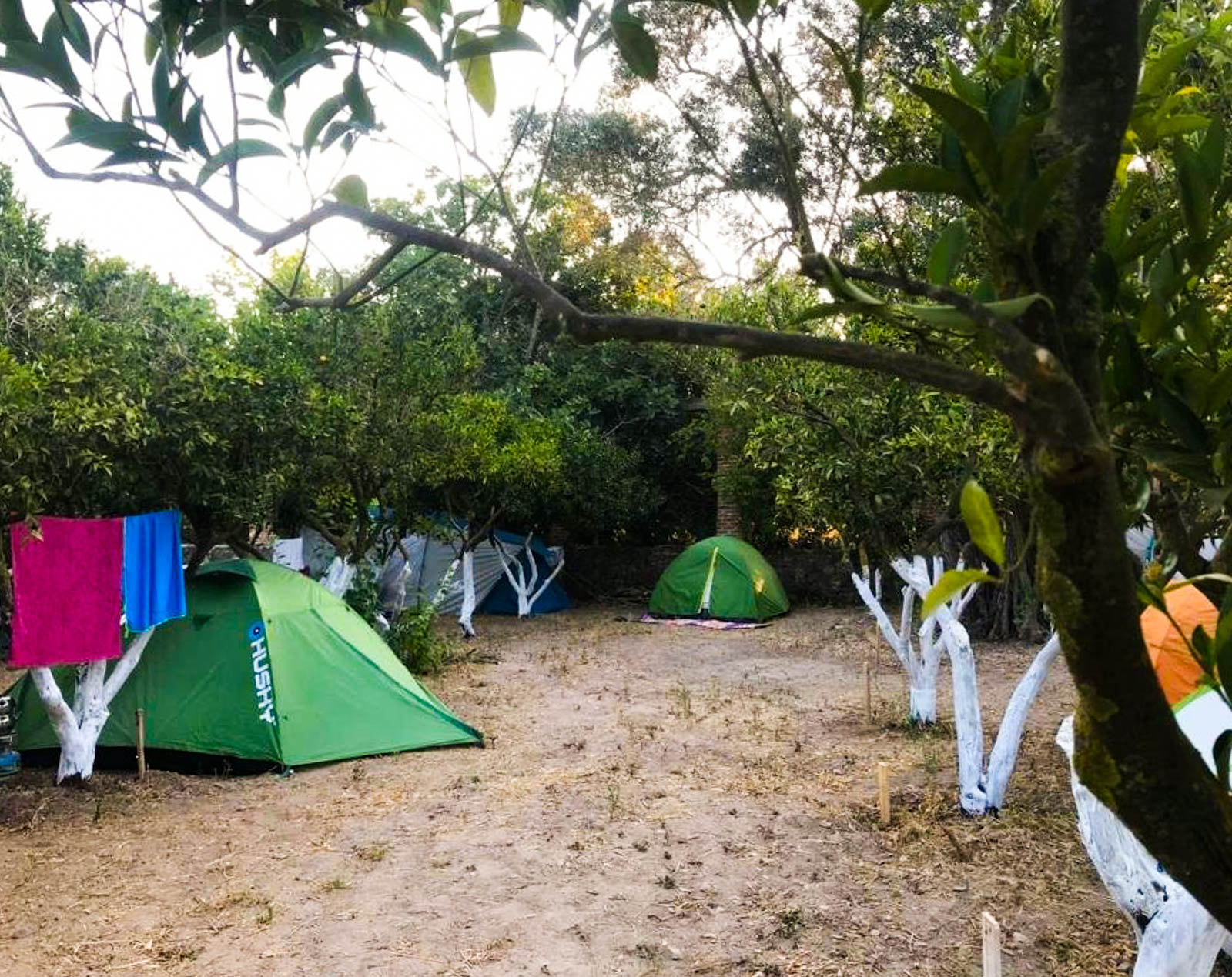 Bodrum Masalı Camping