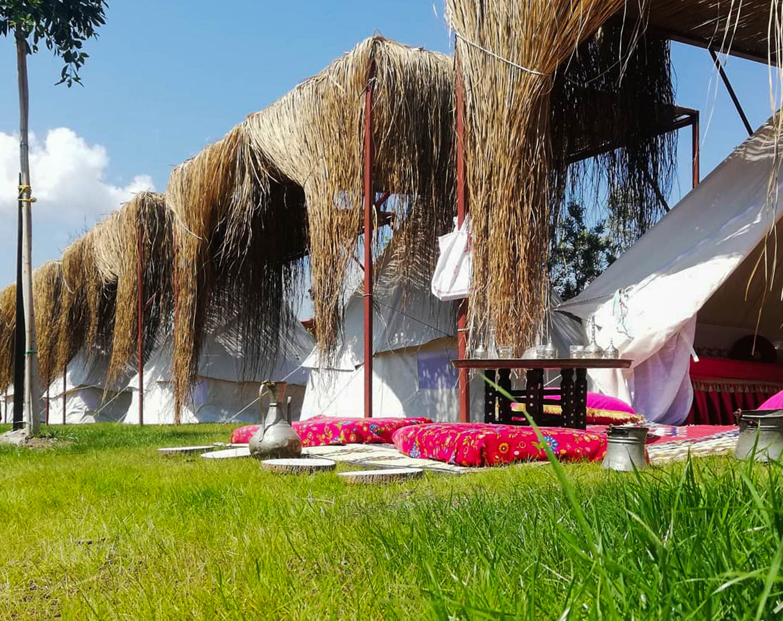 Anadolu Camping Adrasan