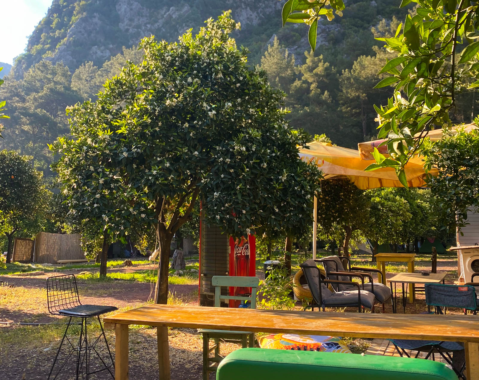 Mandalin Camping Olympos