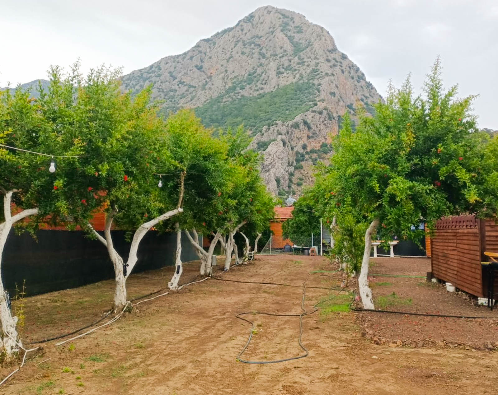 Adrasan Gölge Camping
