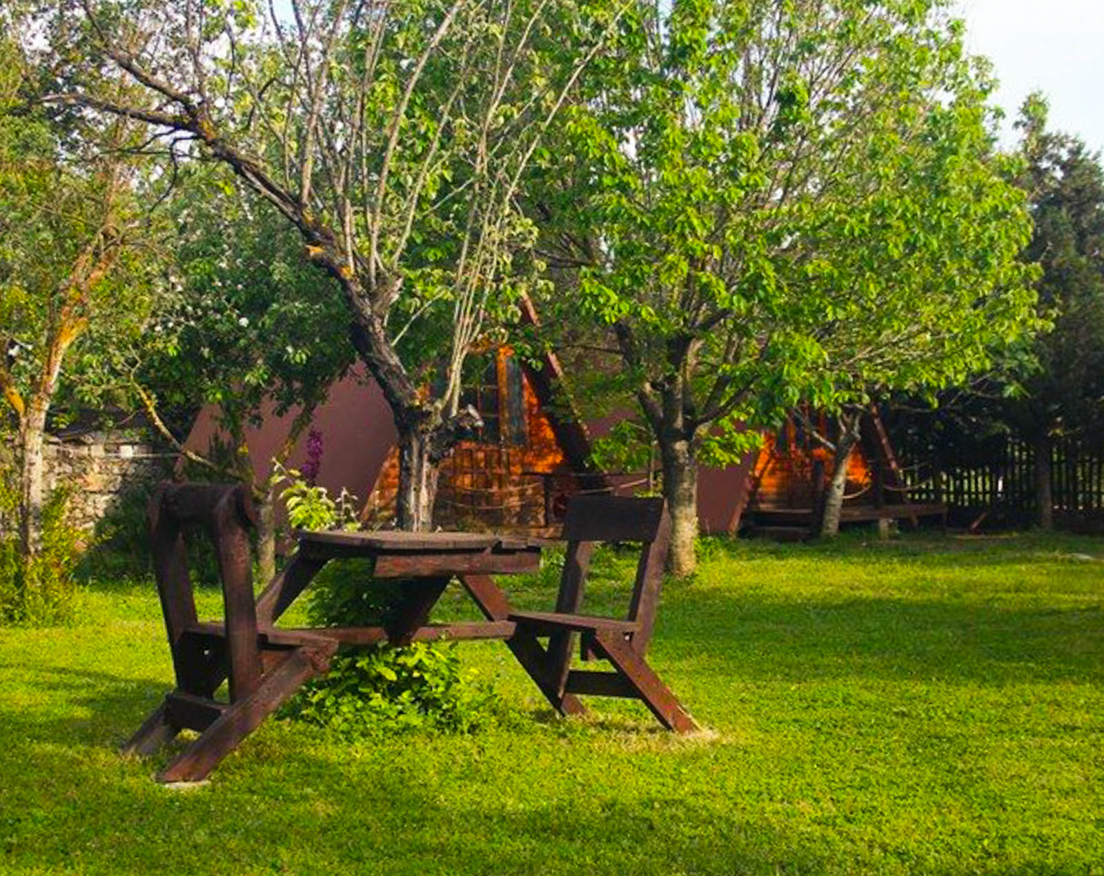 Ya Basta Camping