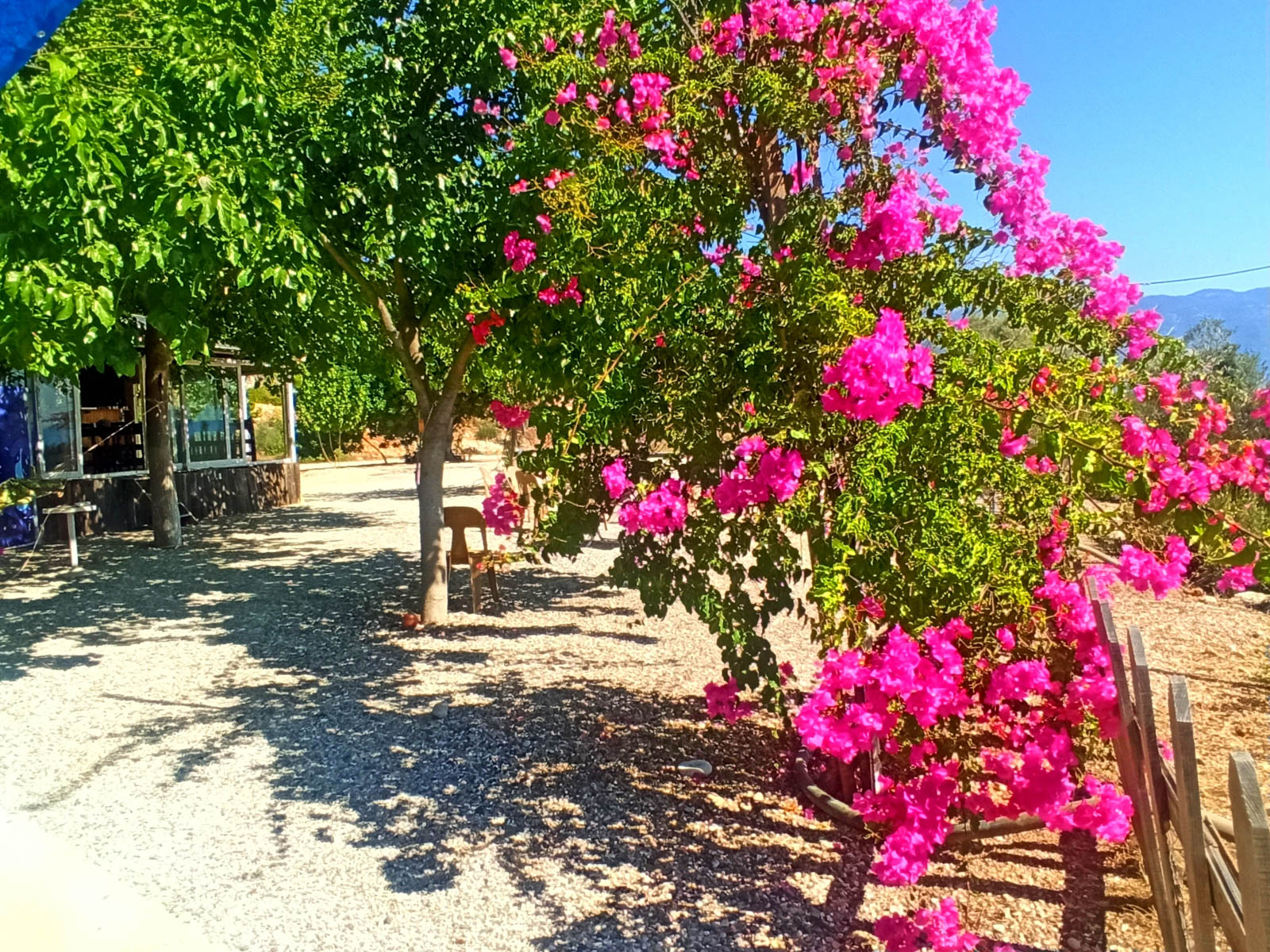 Arif’in Yeri Demre Camping