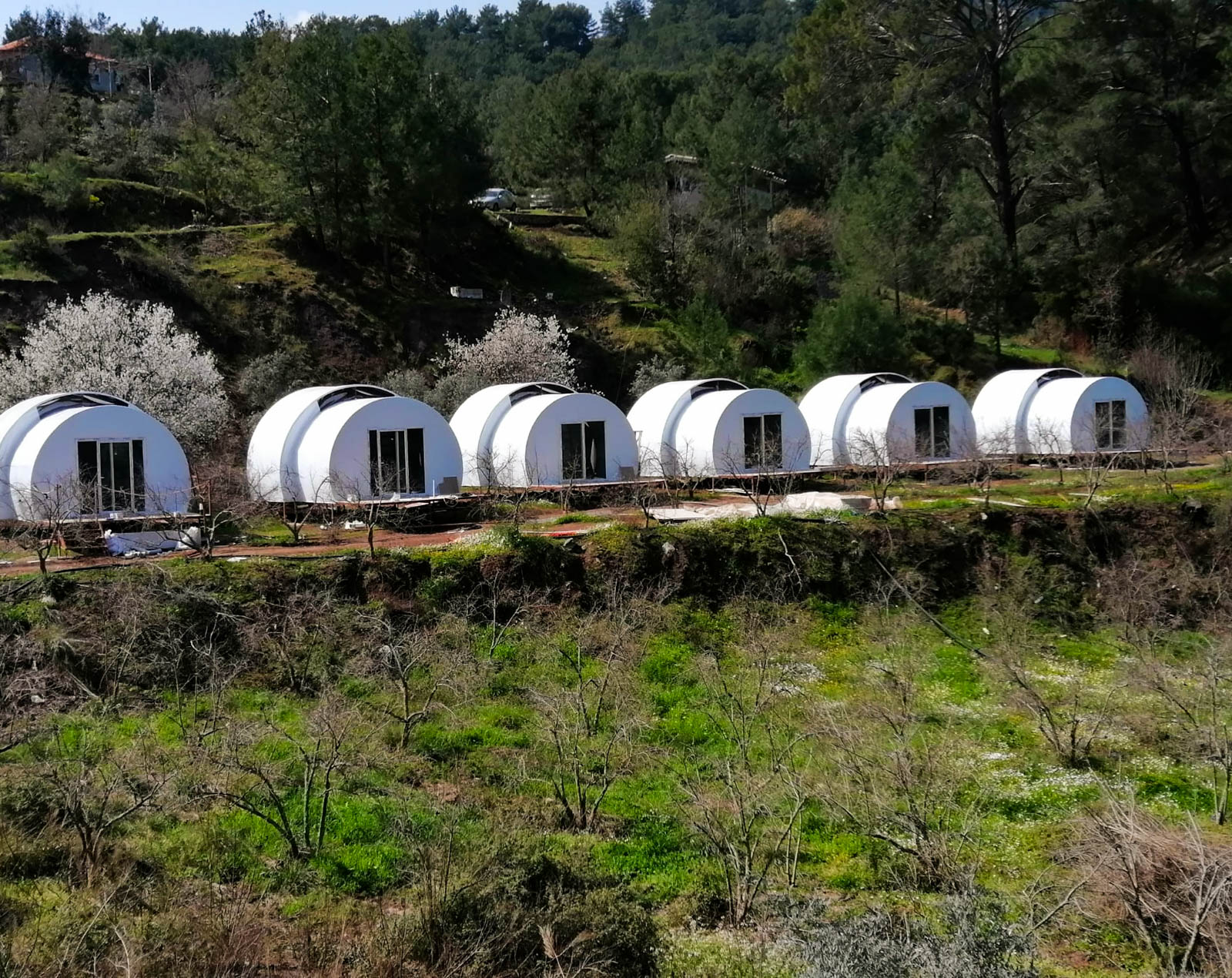 Evergreen Glamping