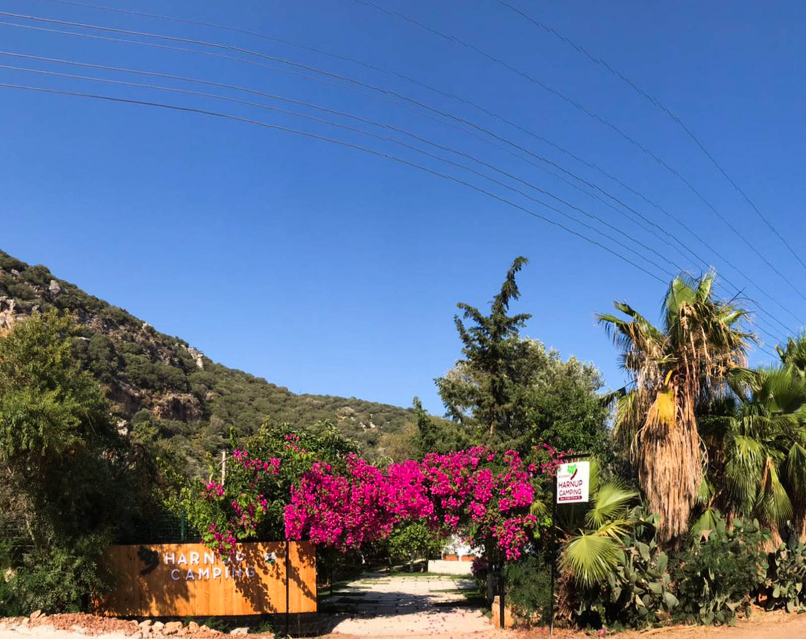 Harnup Camping