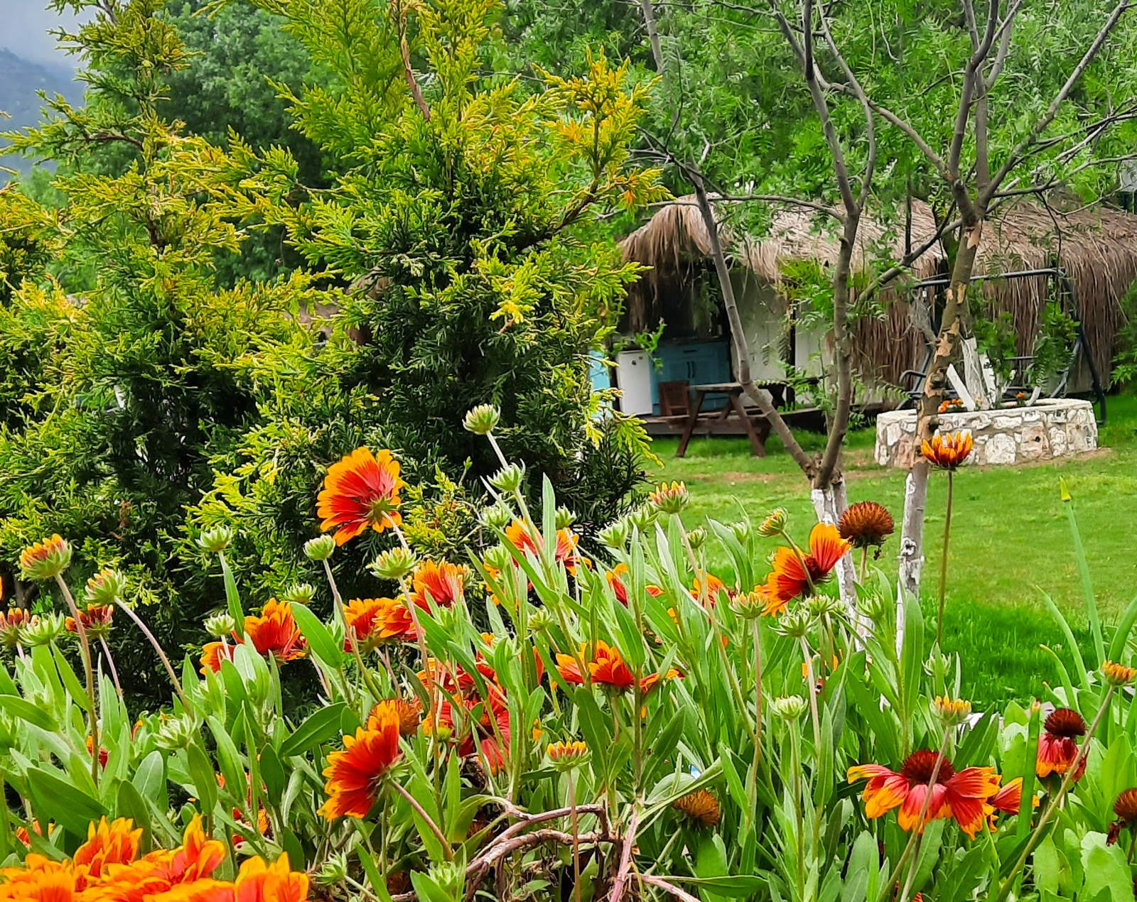 Elif & Bade Glamping