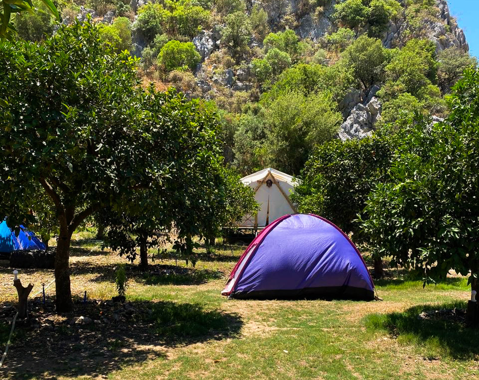 Lotus Camping