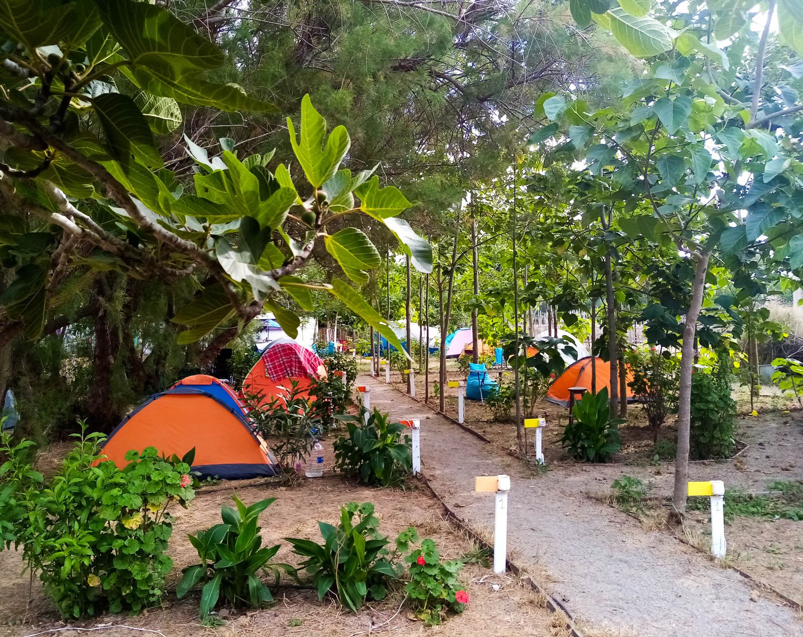 The Camp Bodrum