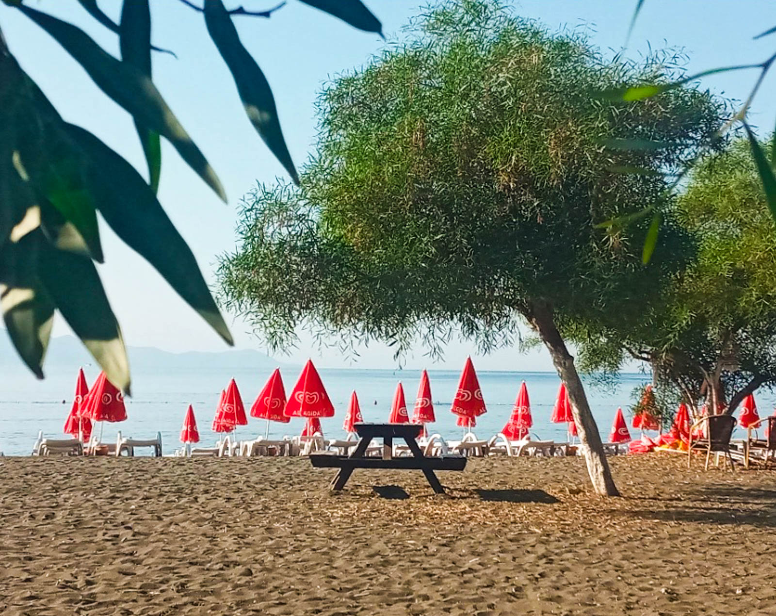 Çaylı Camping