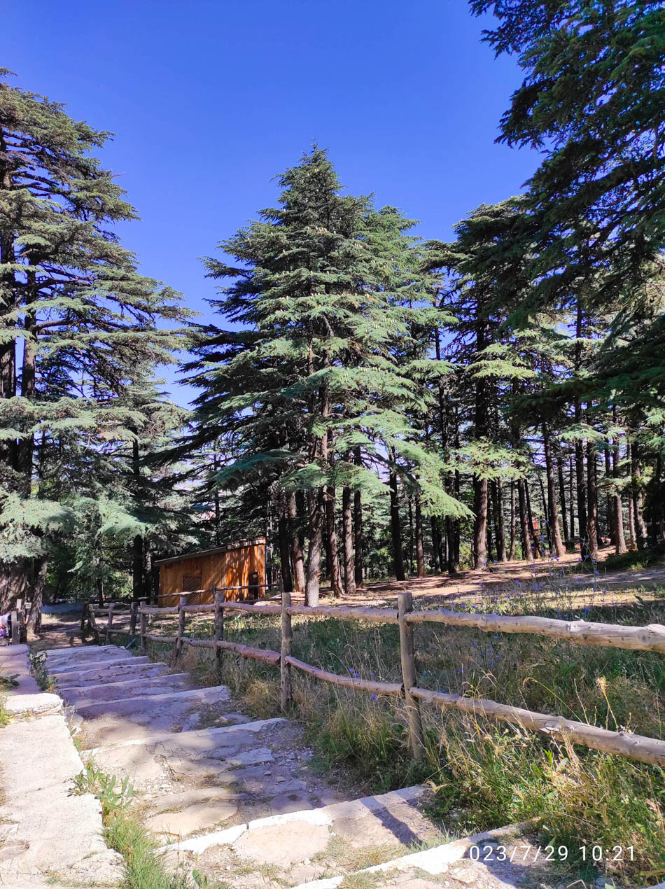 Kızıldağ Milli Parkı