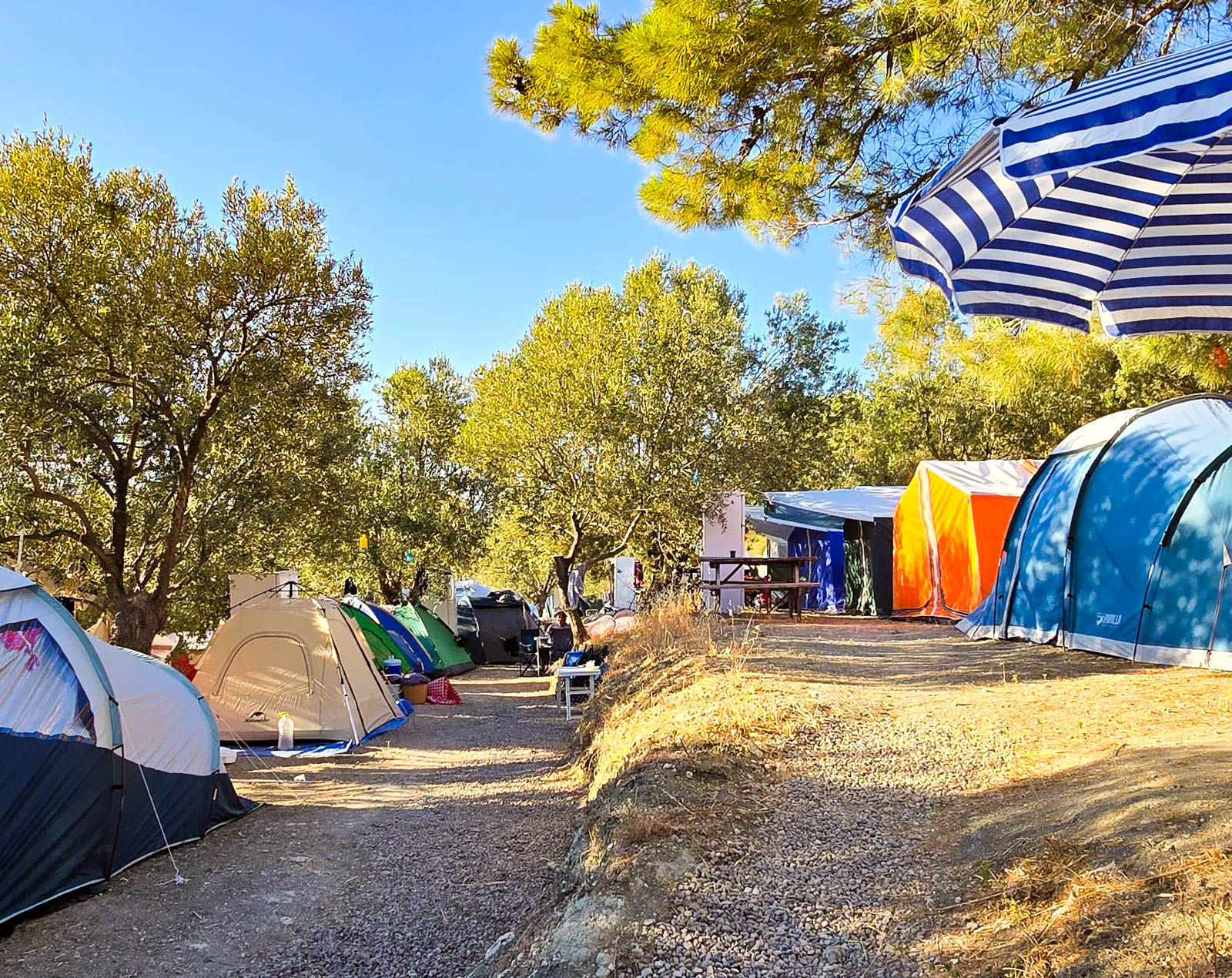 Eser Camping