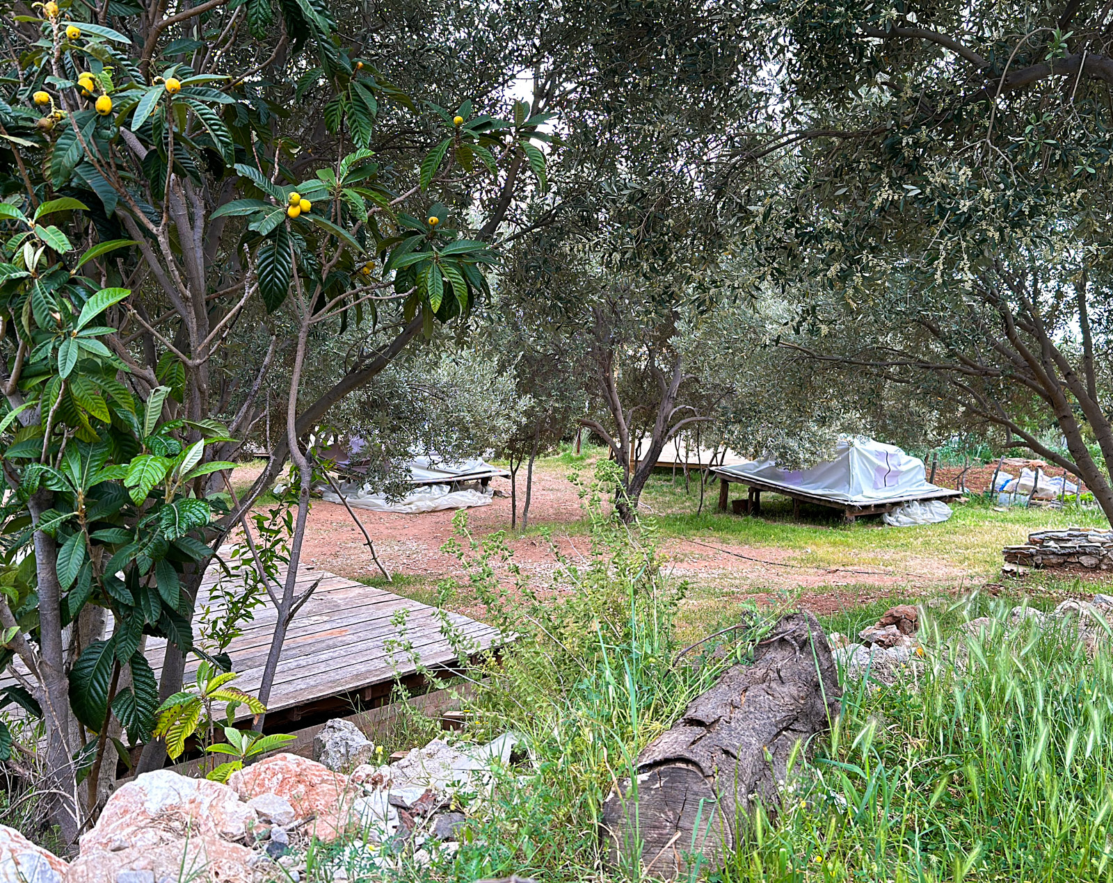 Bağ Camp Kabak