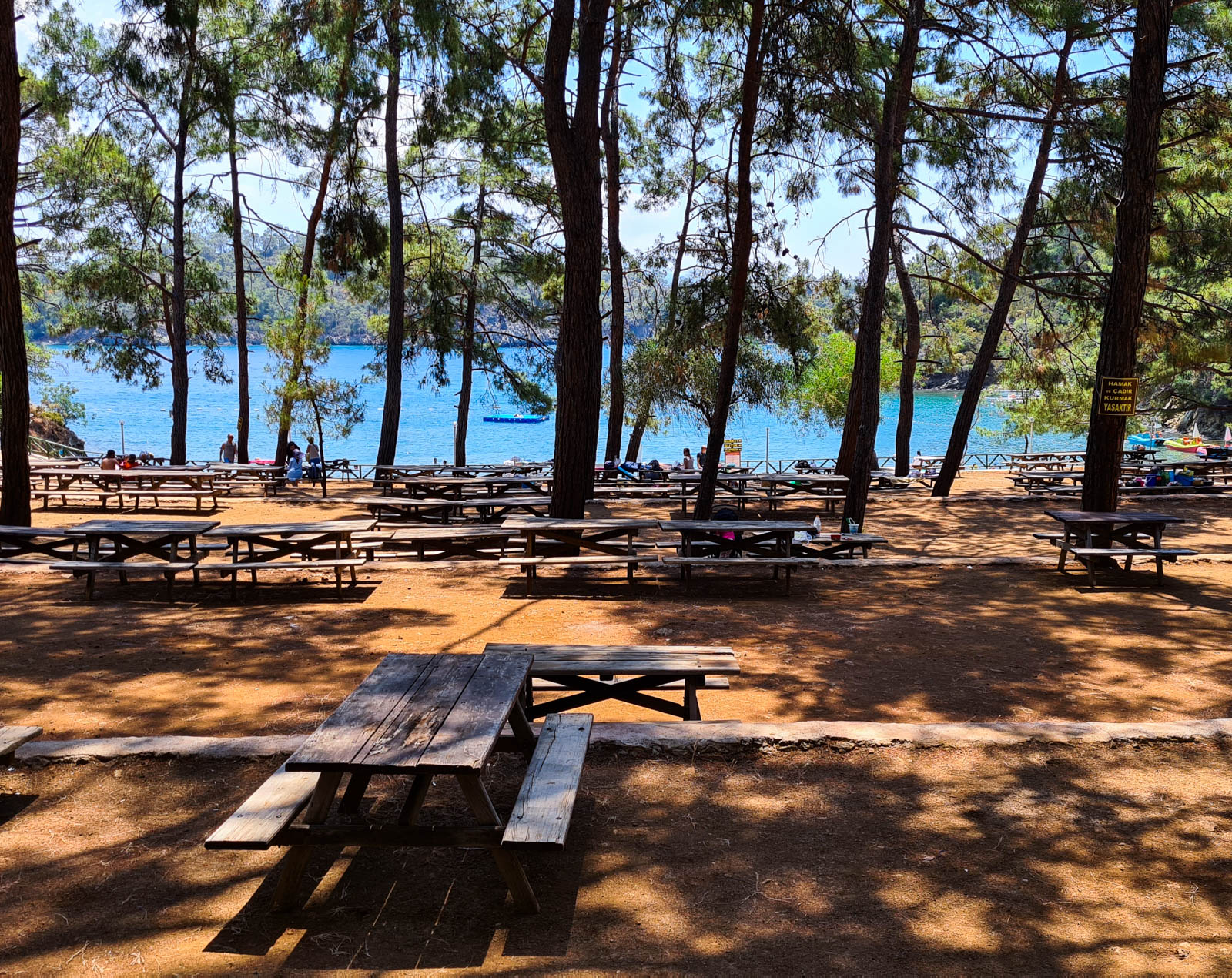 Katrancı Orman Parkı