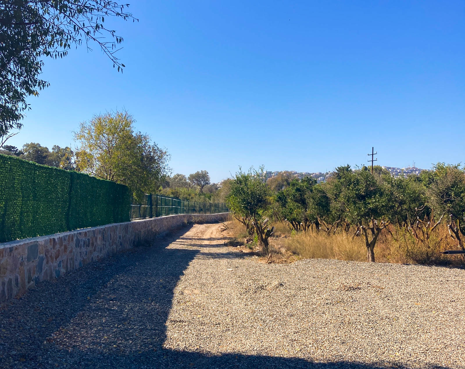 Forsa Camping