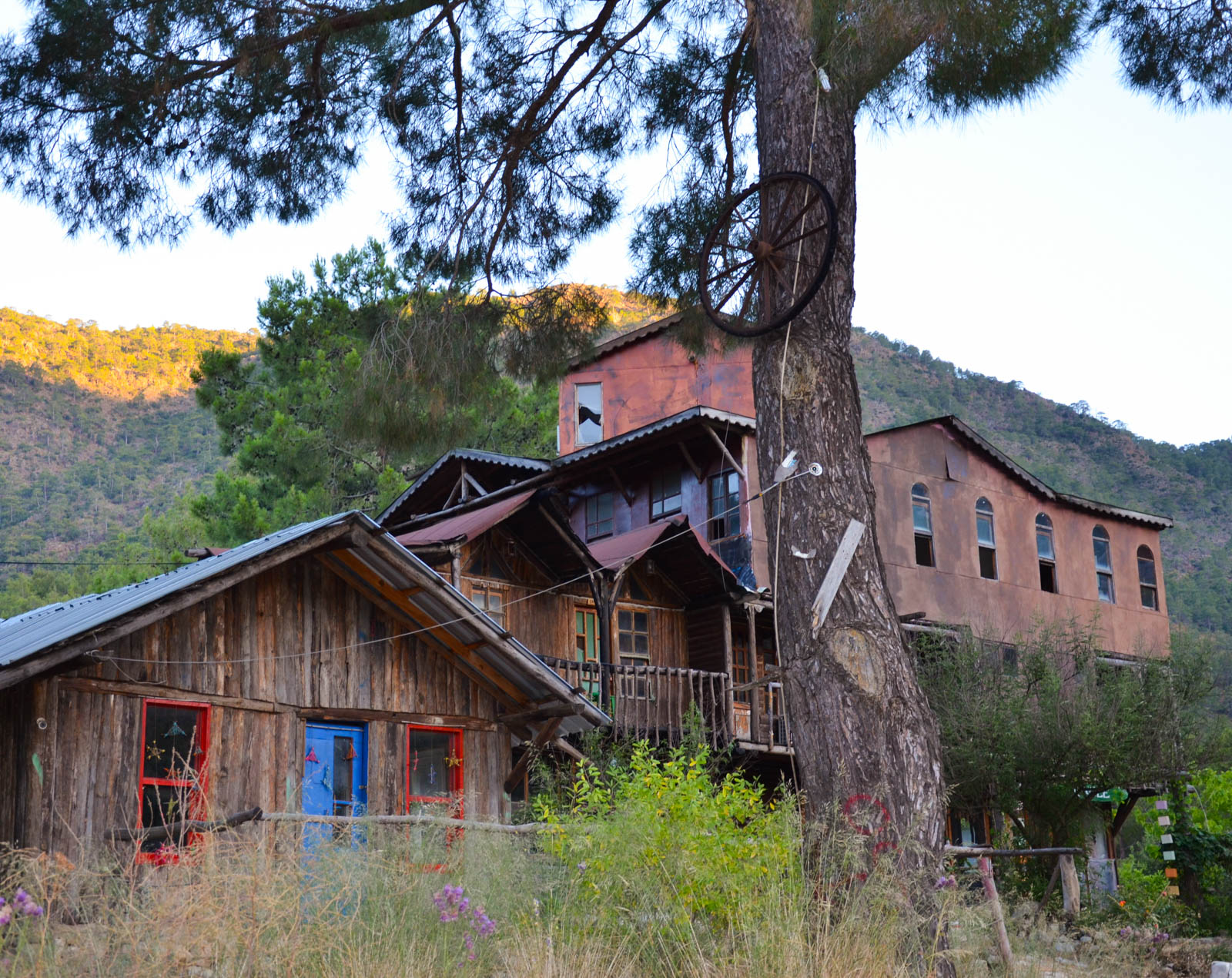 Jungle Bungalows & Camping