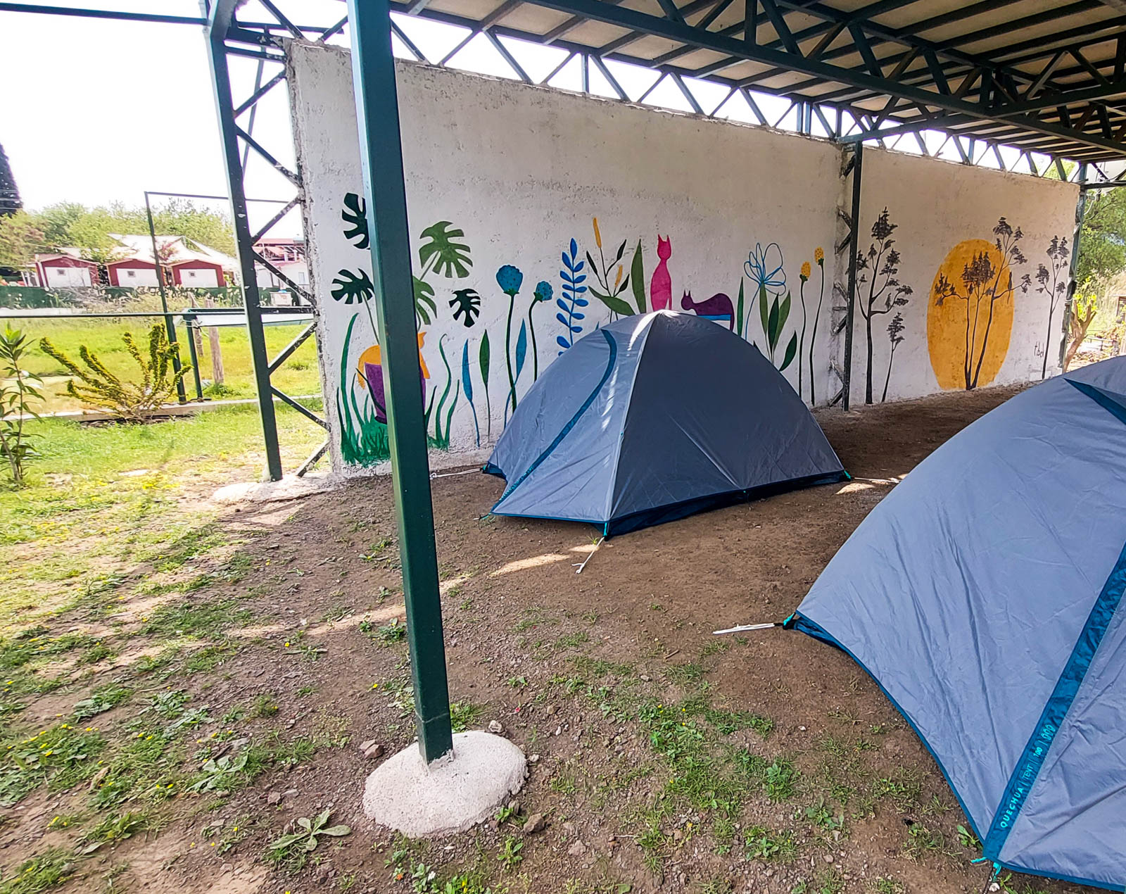 Kedi Camping